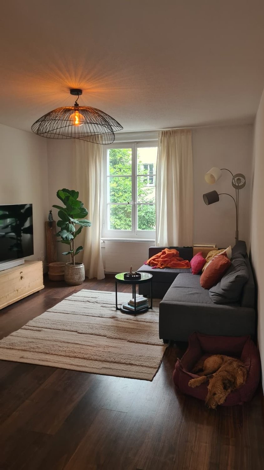 appartamento arredato di 2 ½ locali, foto 1 di 6