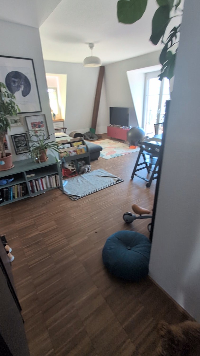 Appartamento di 3 ½ locali