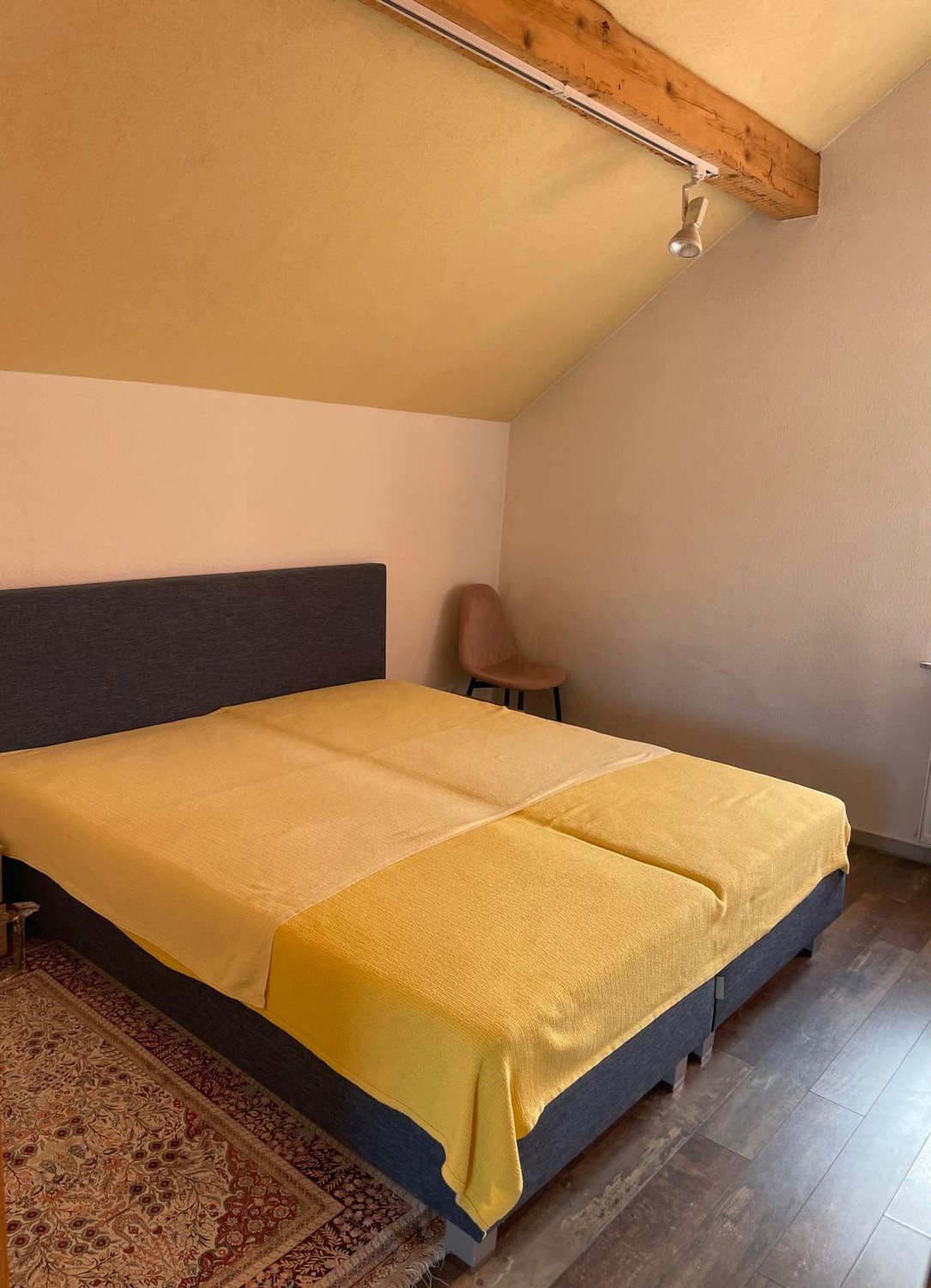 Stanza in un appartamento condiviso