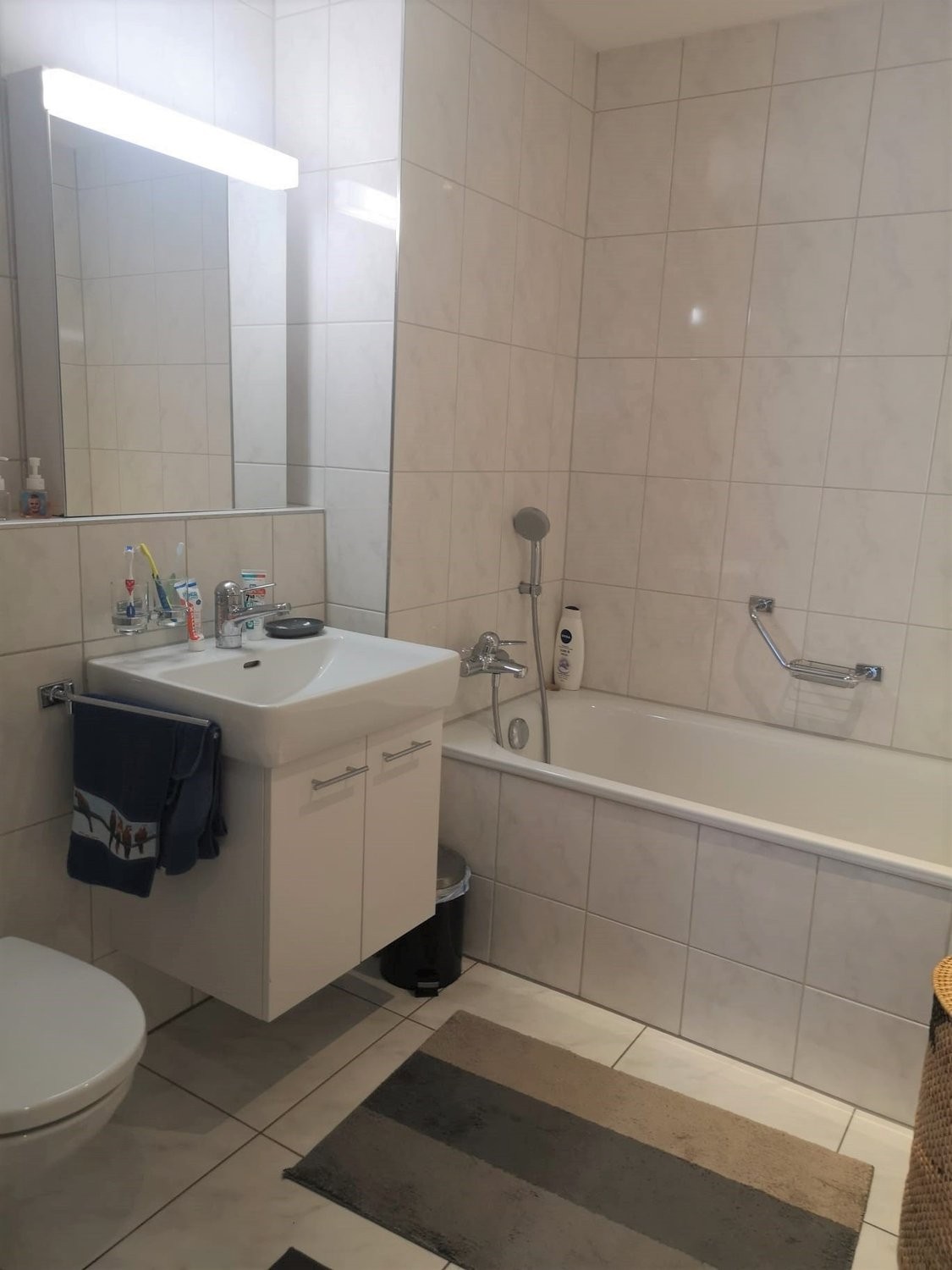Appartement de 3 ½ pièces