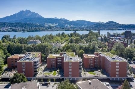 Appartamento di 3 ½ locali, foto 1 di 6