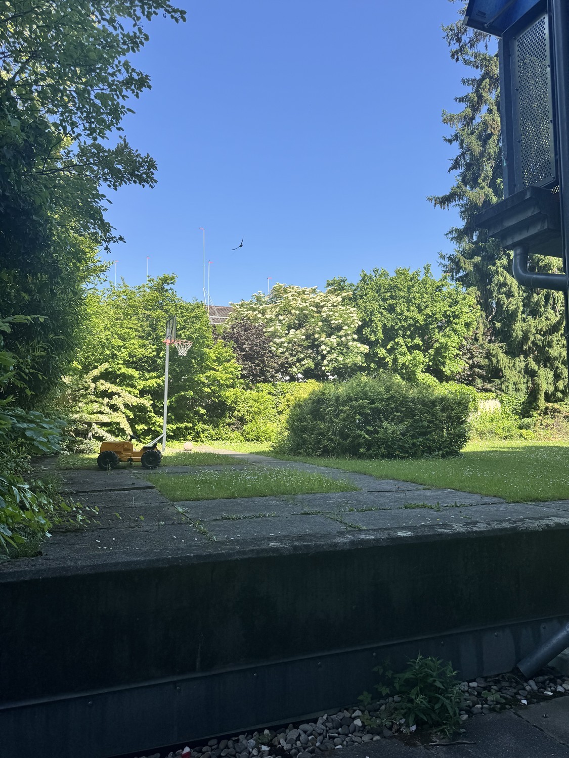 Appartamento di 3 locali