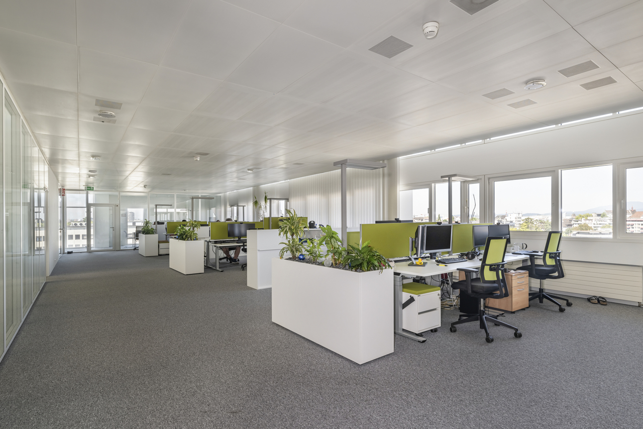 700m² office, foto 3 di 10