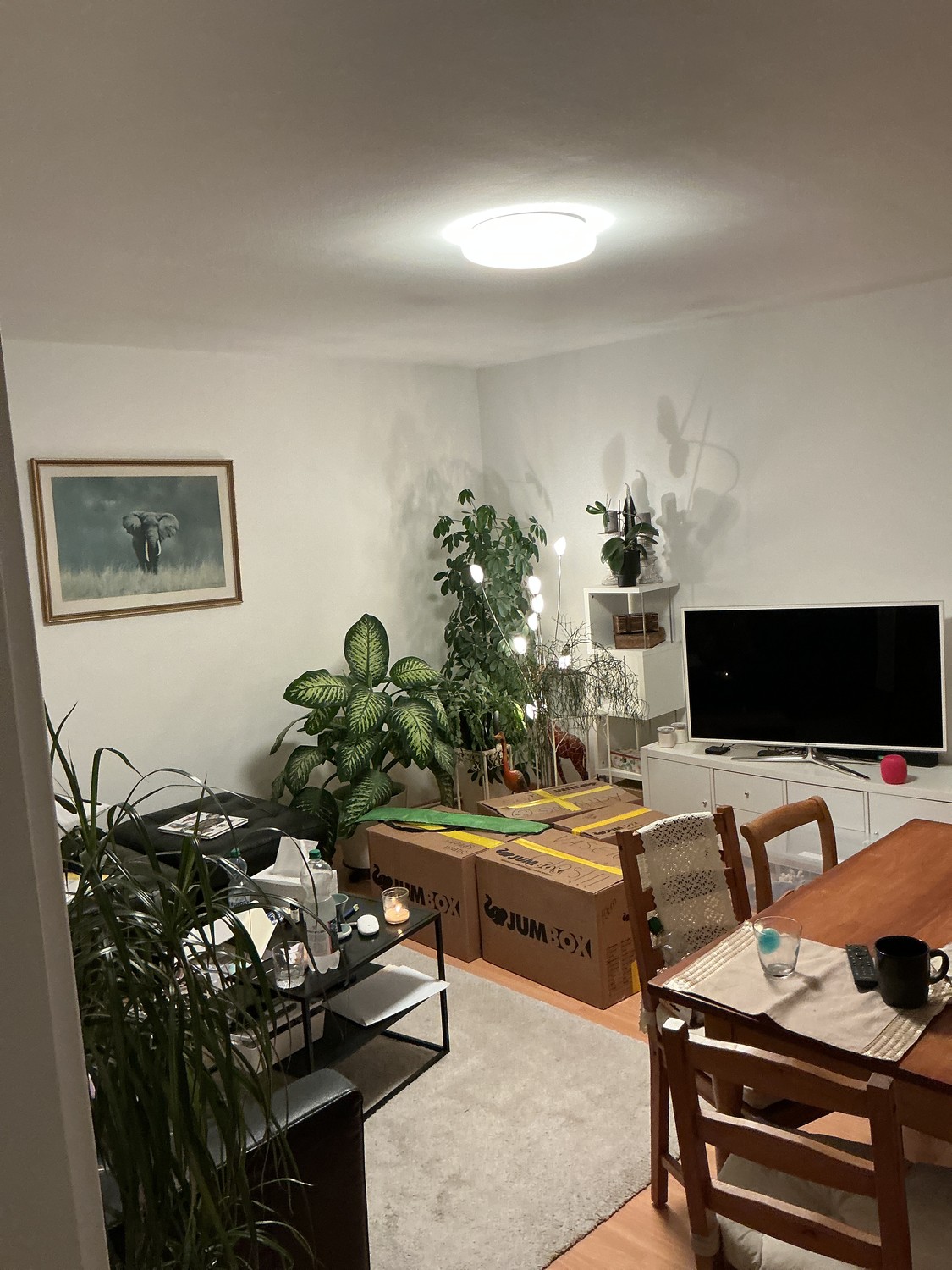 appartamento di 2 locali, foto 1 di 6