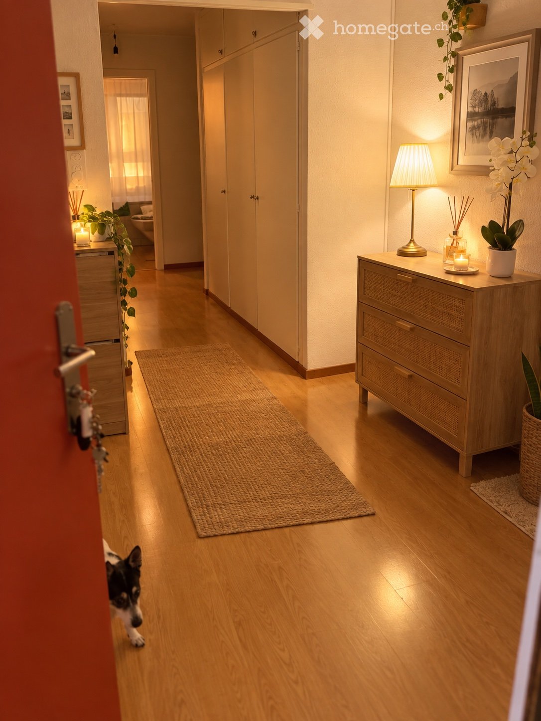 4-Zimmer-Wohnung