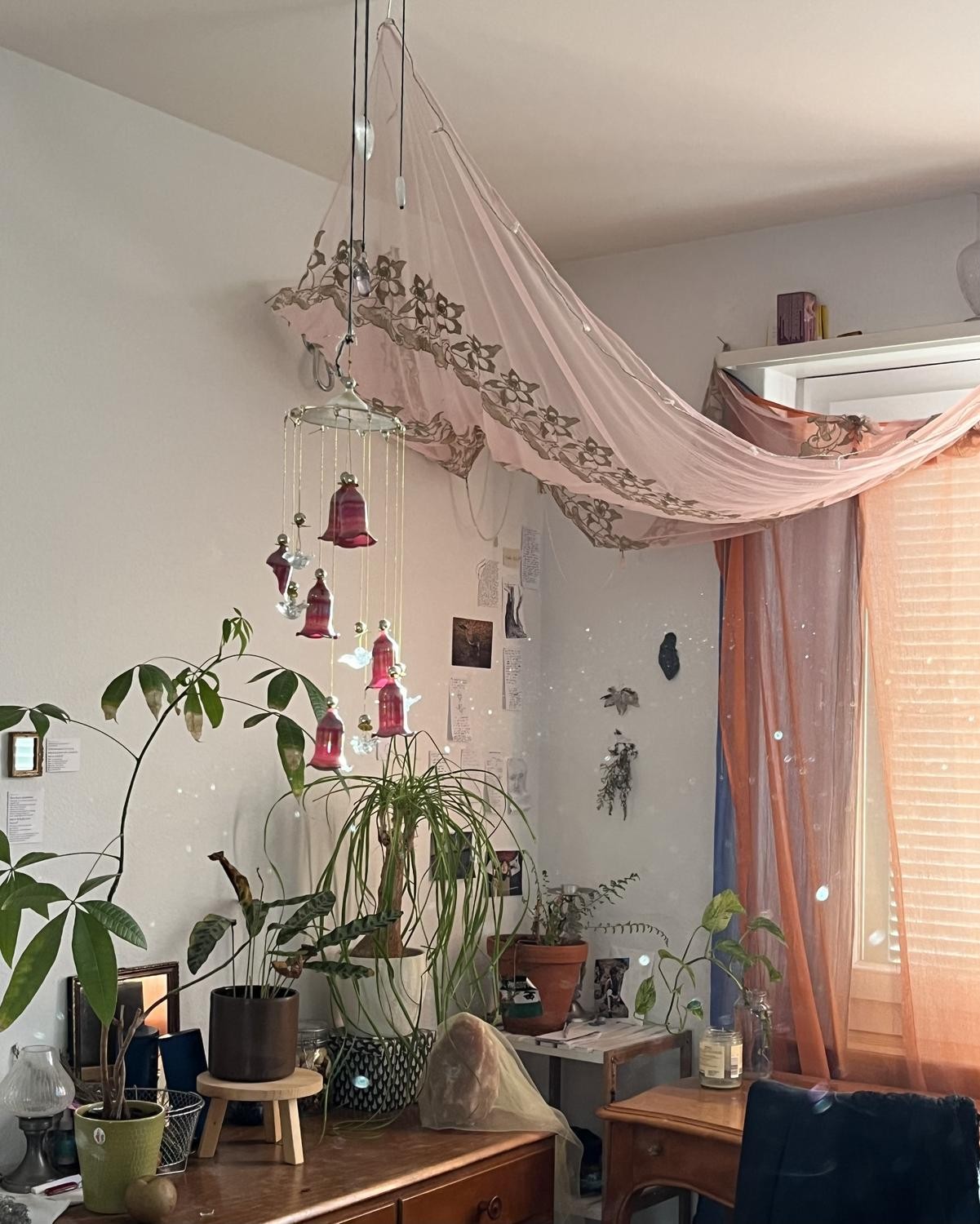 Room in a shared flat