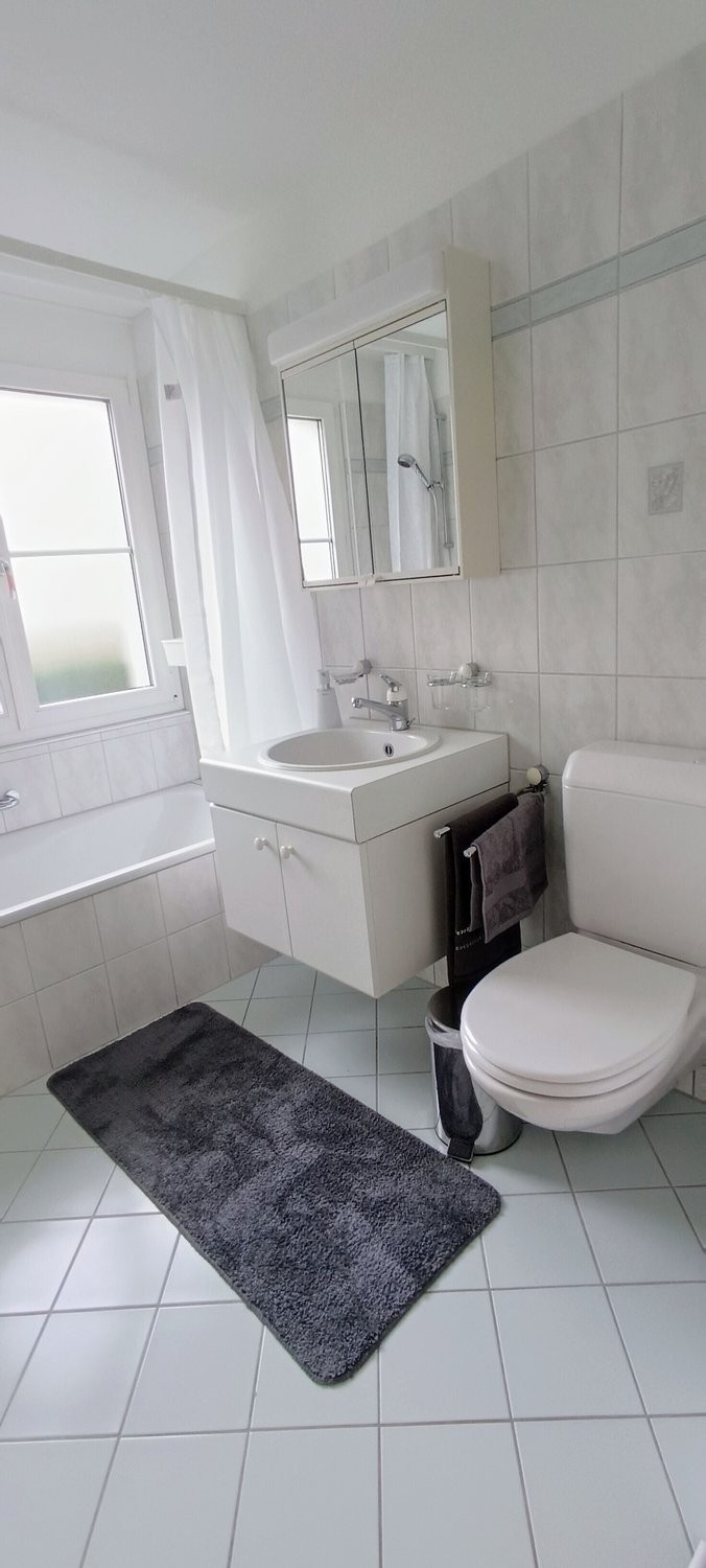 Appartamento arredato di 3 ½ locali, foto 10 di 10