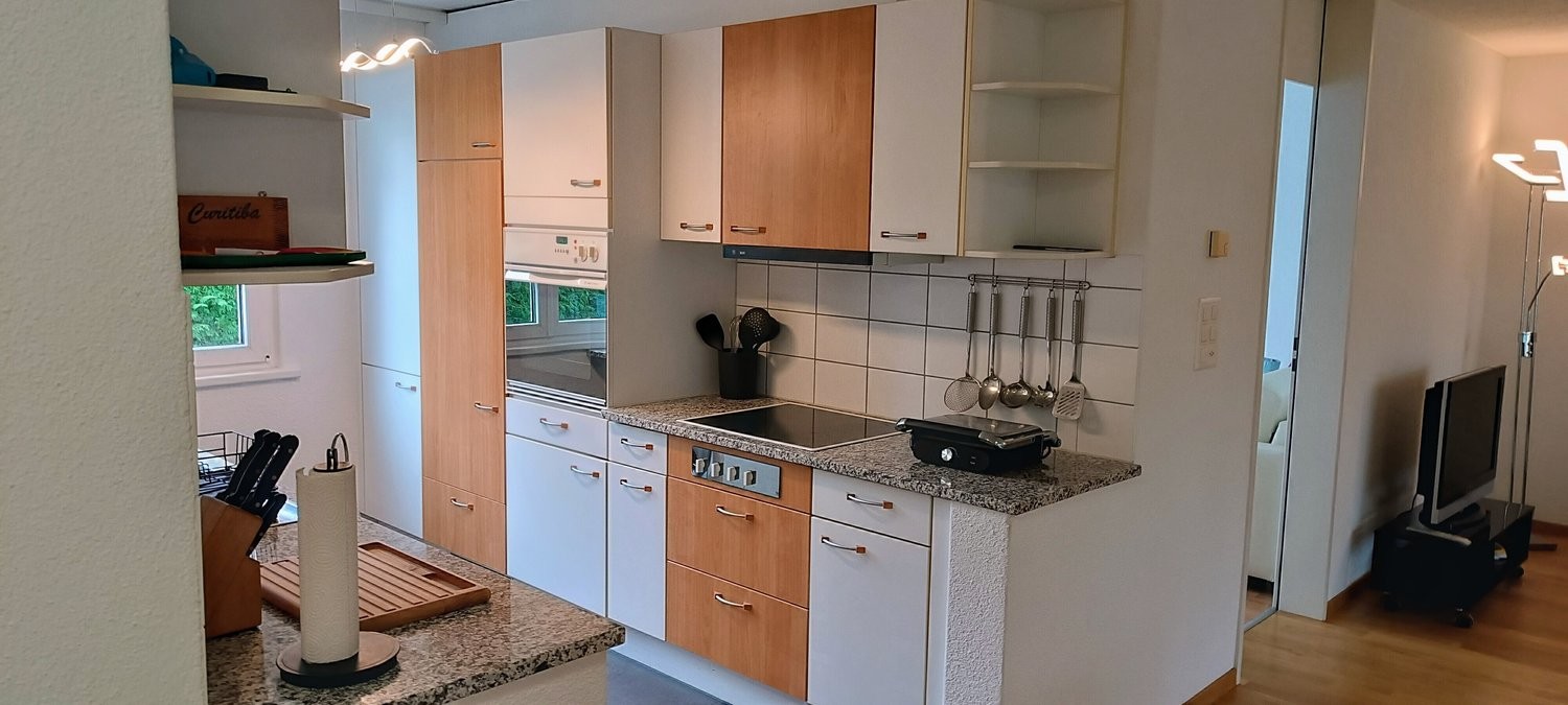 Appartamento arredato di 3 ½ locali, foto 3 di 10