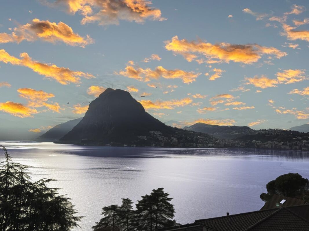 Appartamento di 2 ½ locali, foto 8 di 8