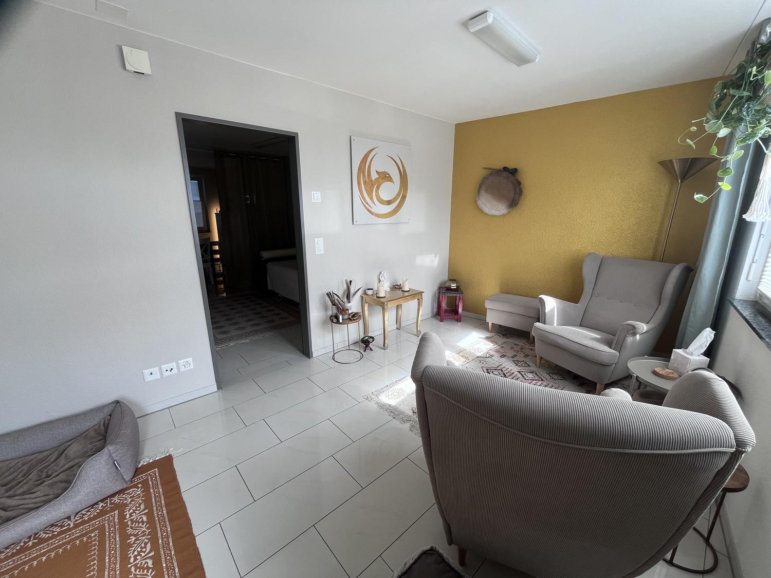 41m² commerciale