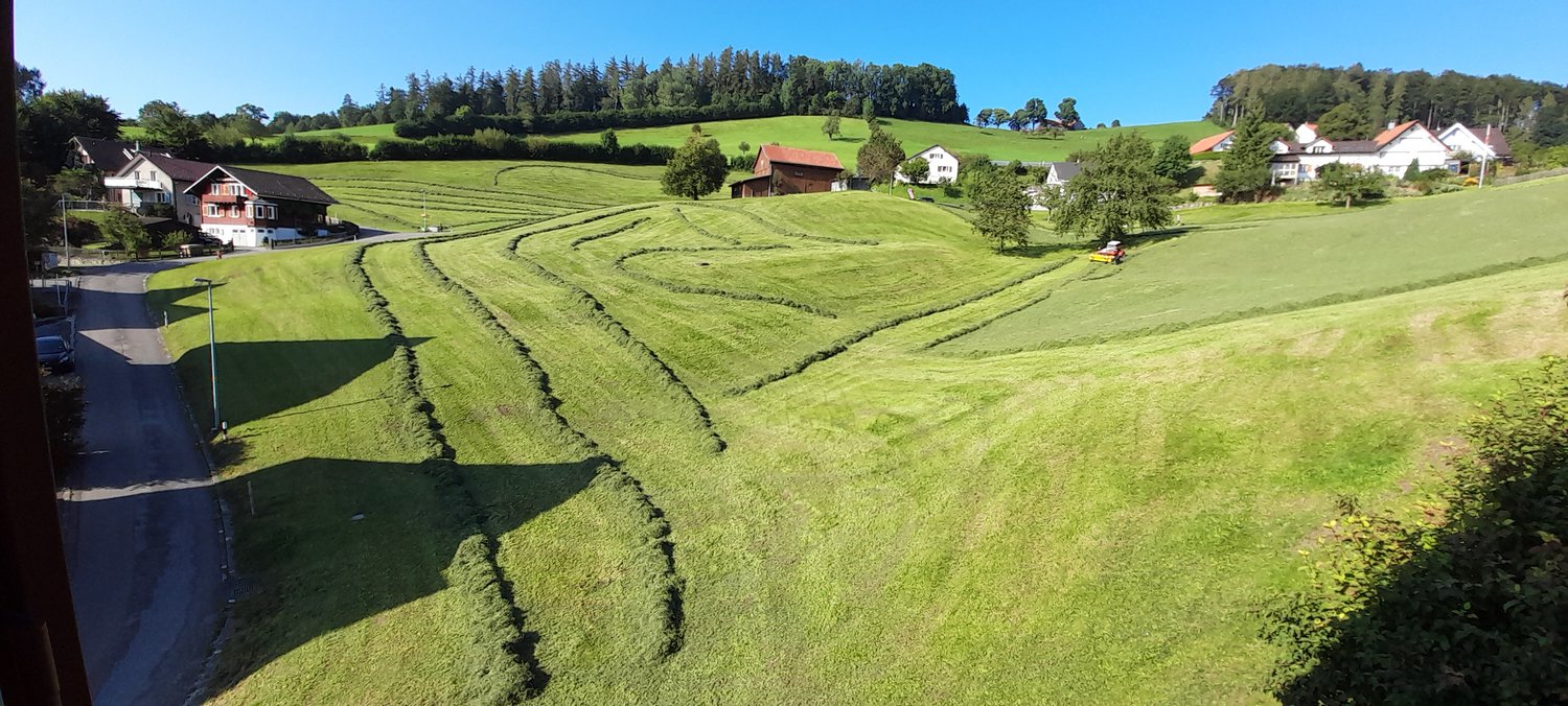 Camera in un appartamento condiviso