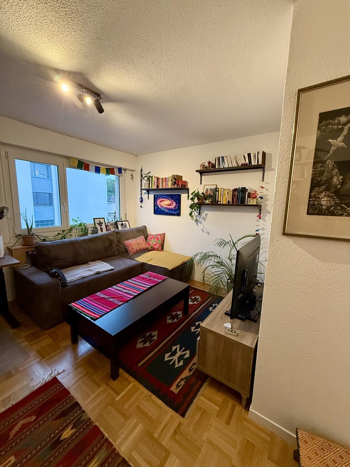 Appartamento di 2 ½ locali, foto 2 di 7