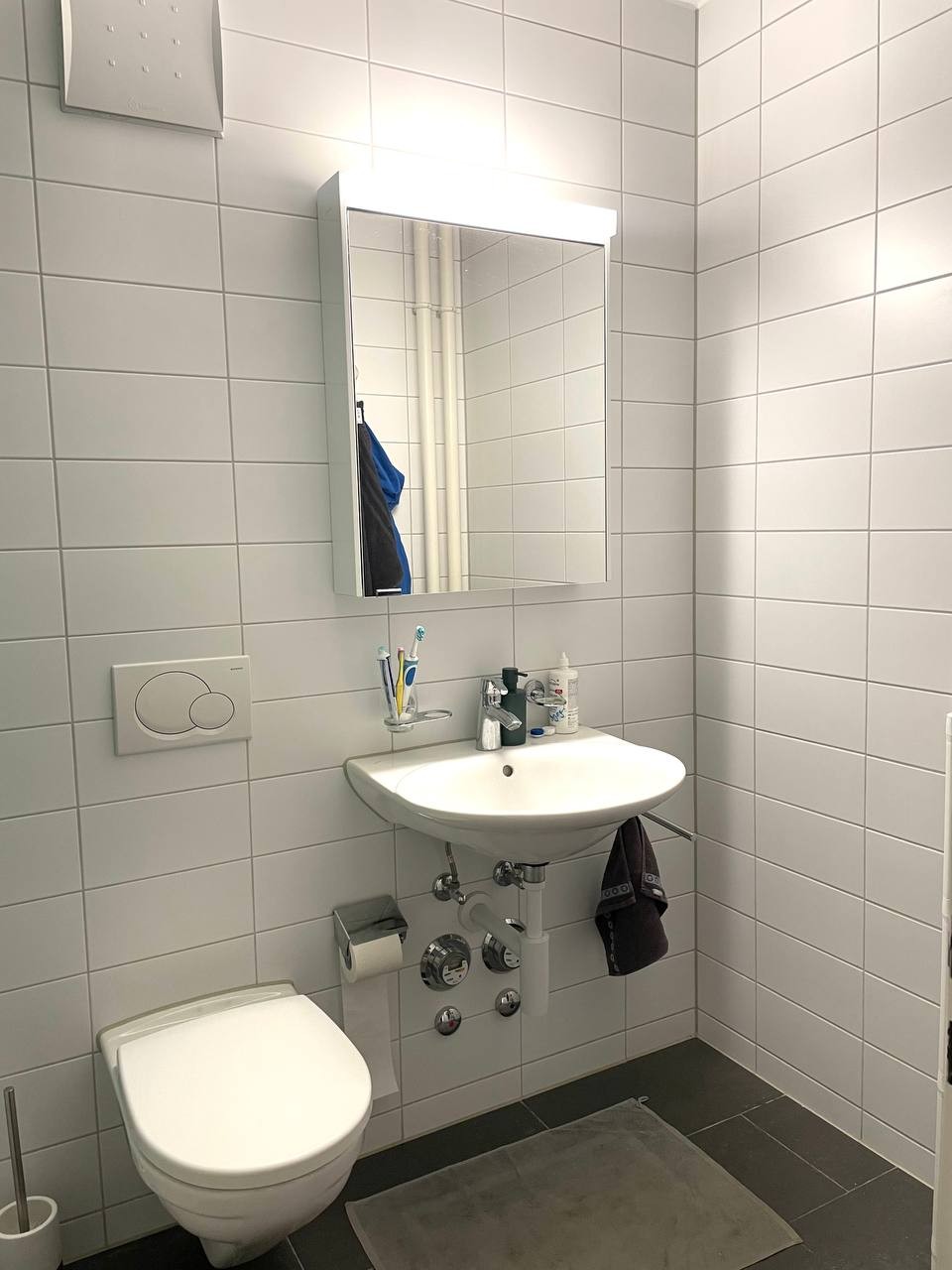 Appartamento di 2 ½ locali, foto 4 di 7