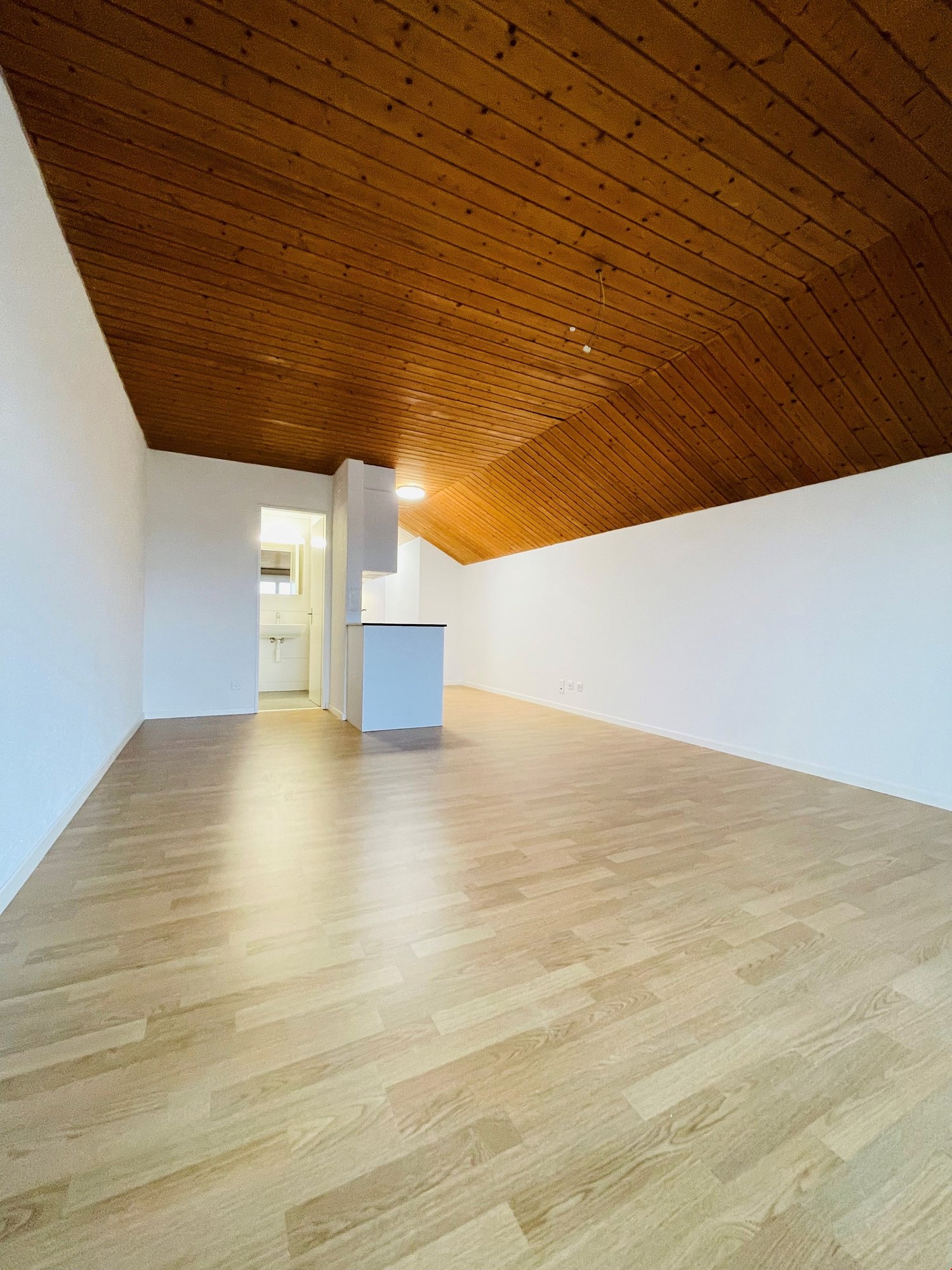 Appartamento di 1 ½ locali