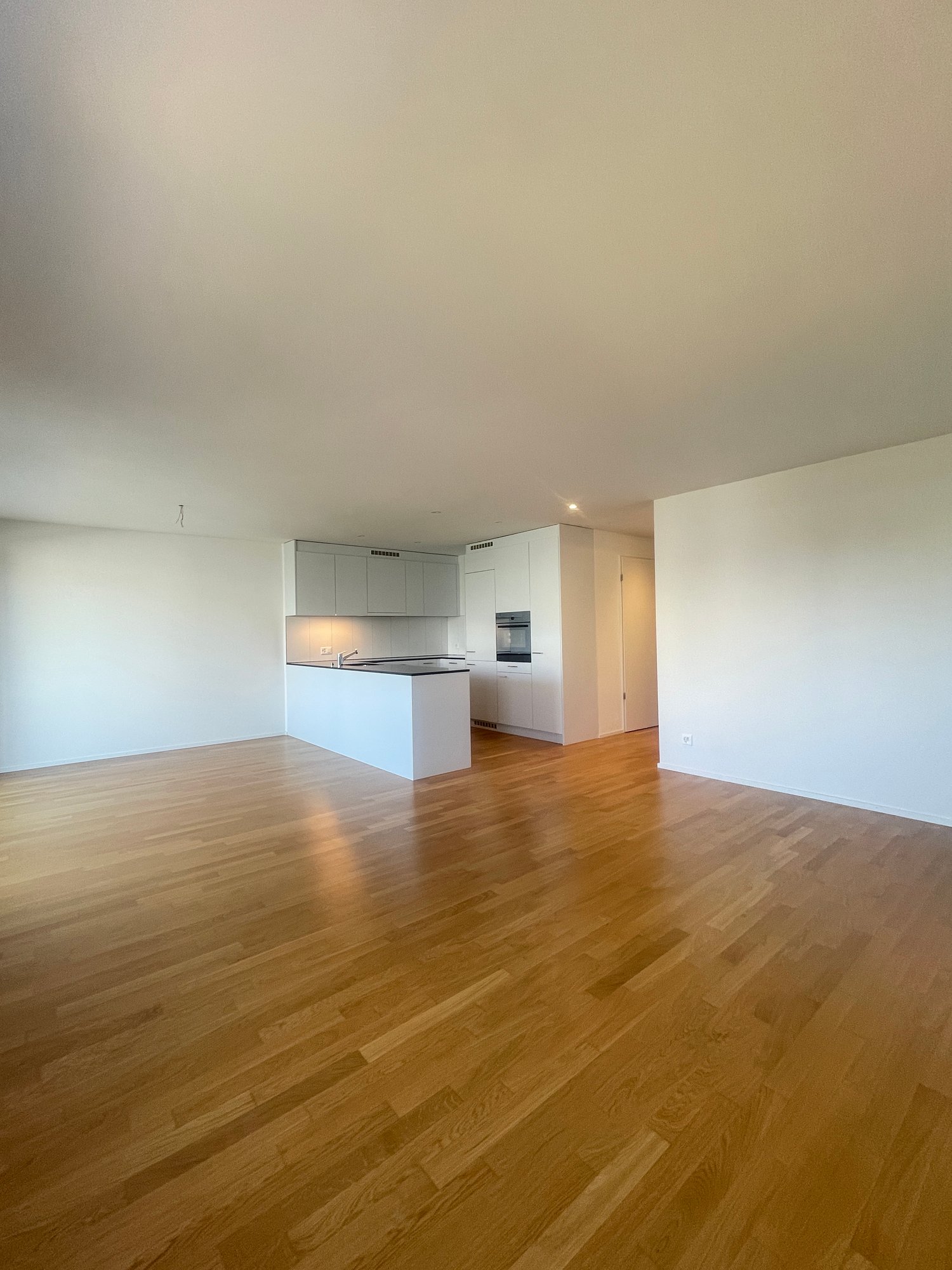 Appartement de 3 ½ pièces