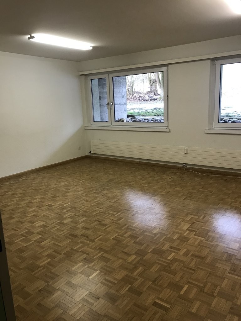 29m² commerciale