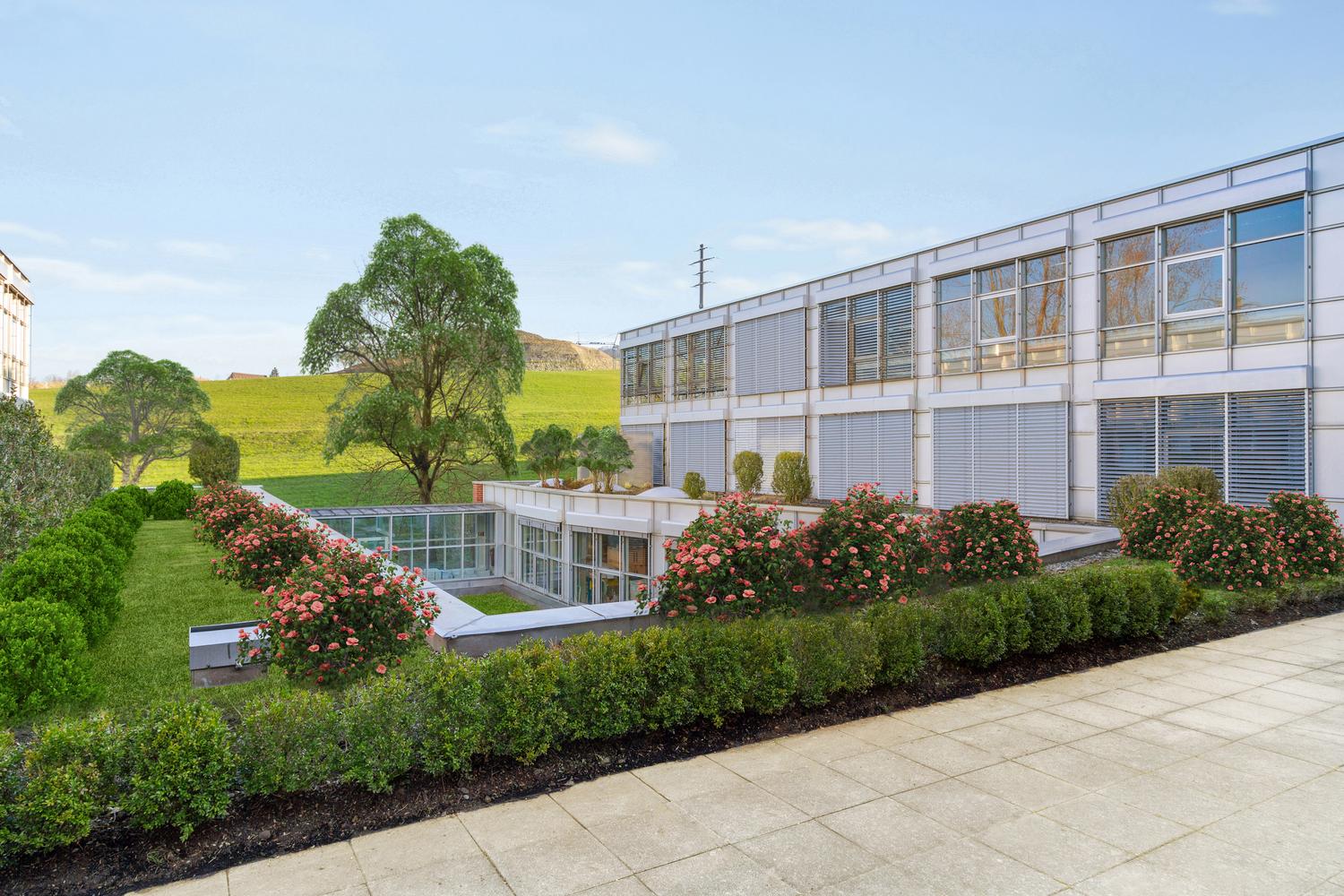 1111m² commerciale