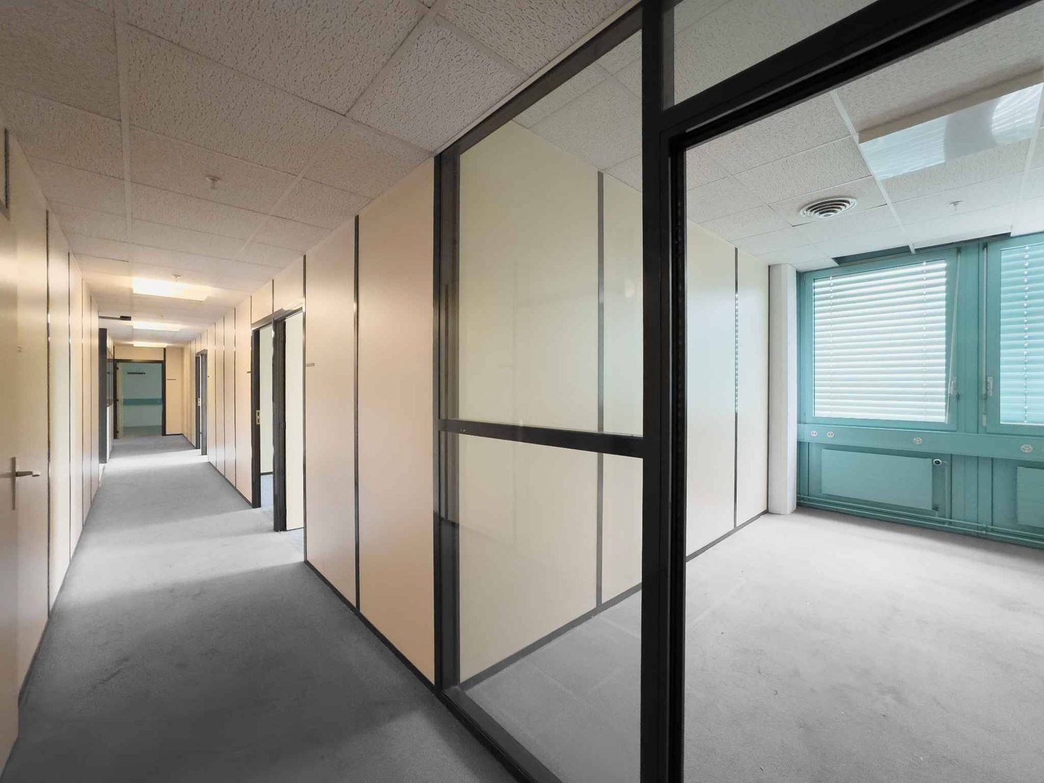 290m² commerciale