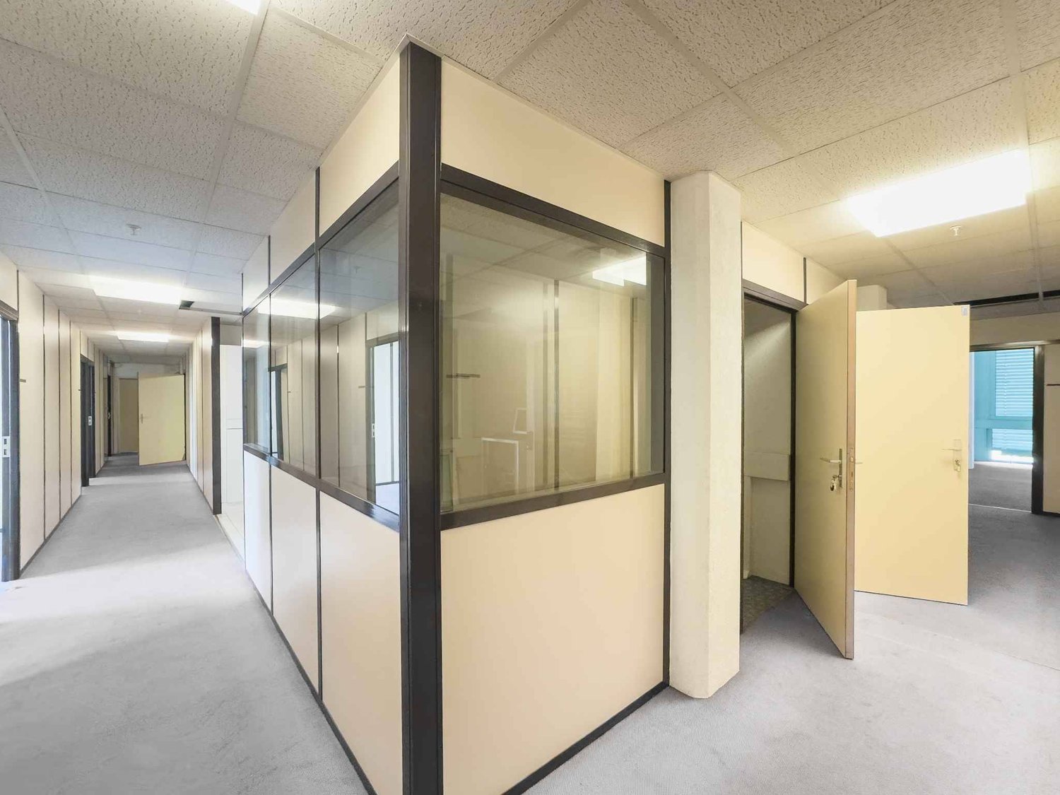 290m² commerciale