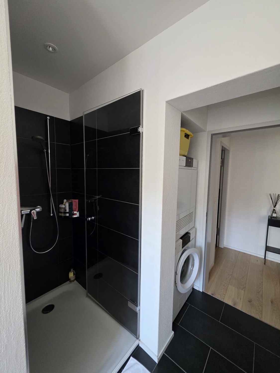 Appartamento di 2 ½ locali, foto 9 di 10
