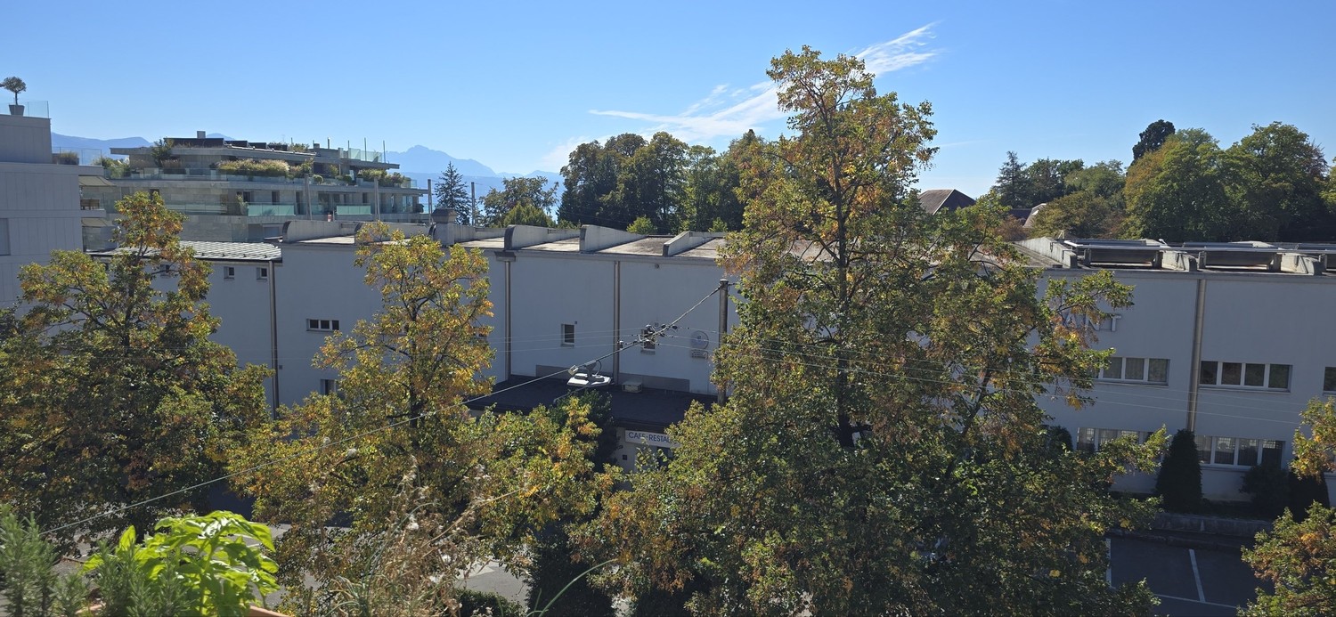 Appartamento di 3 ½ locali, foto 9 di 9