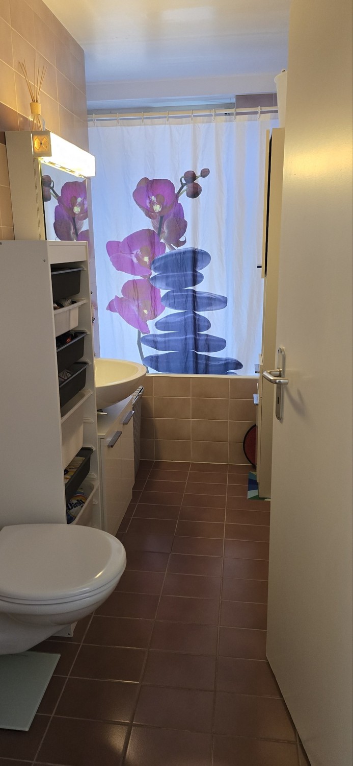 Appartamento di 3 ½ locali, foto 6 di 9