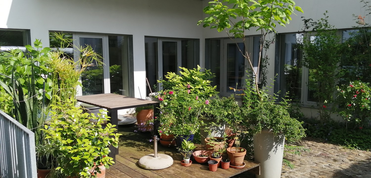 255m² commerciale