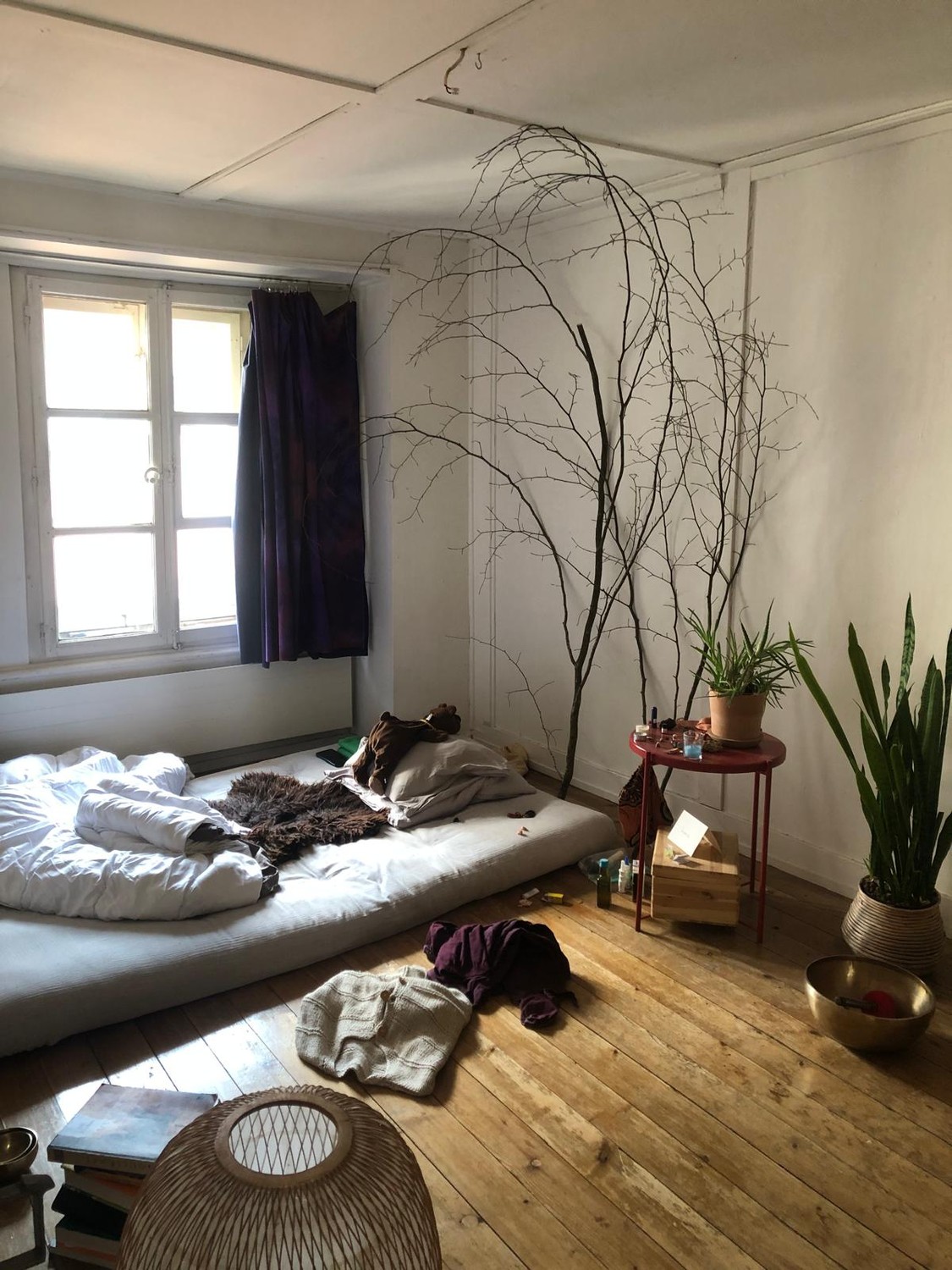 Room in a shared flat