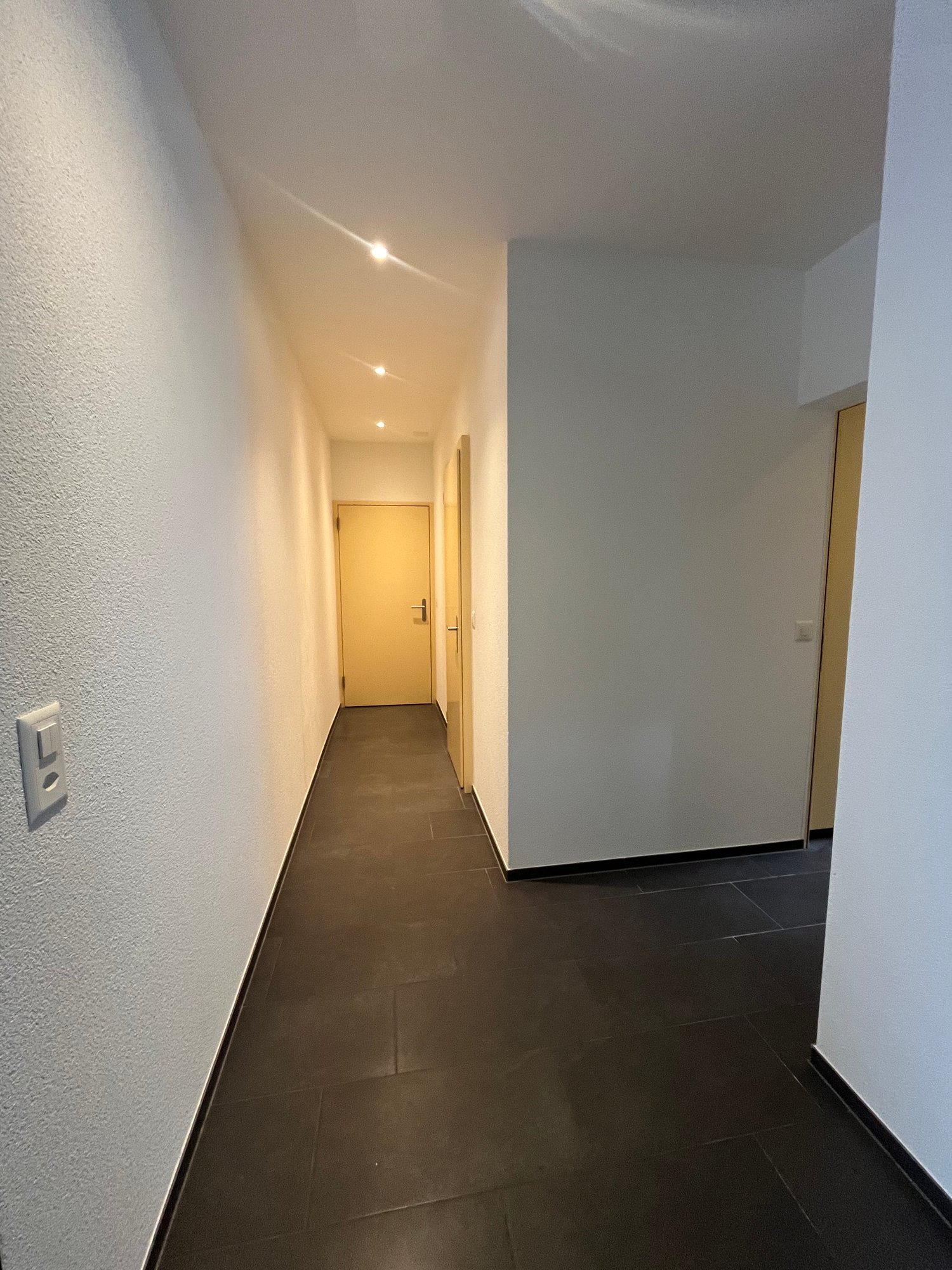 2 ½ Zimmer-Wohnung