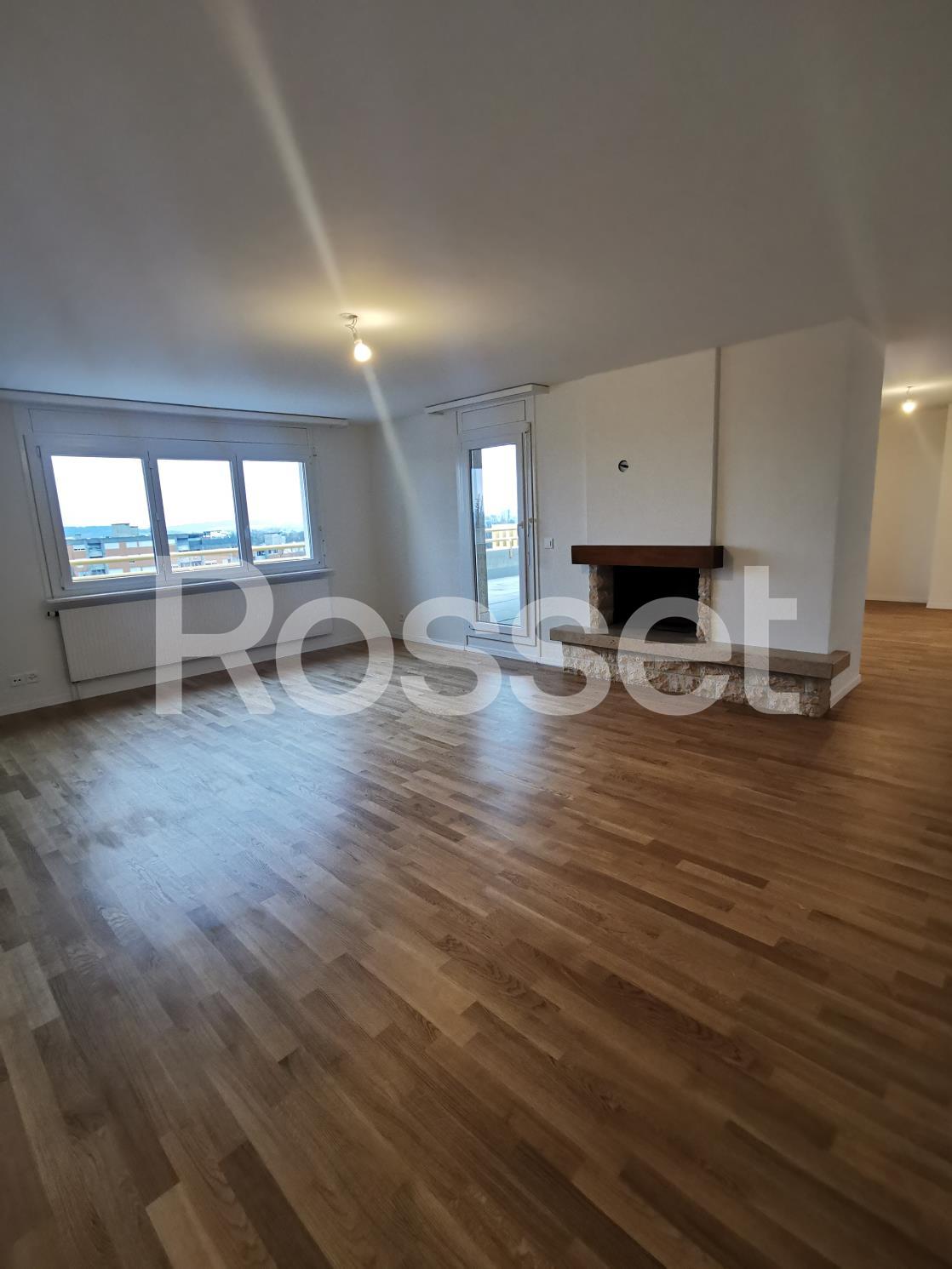 5 ½ Zimmer-Wohnung