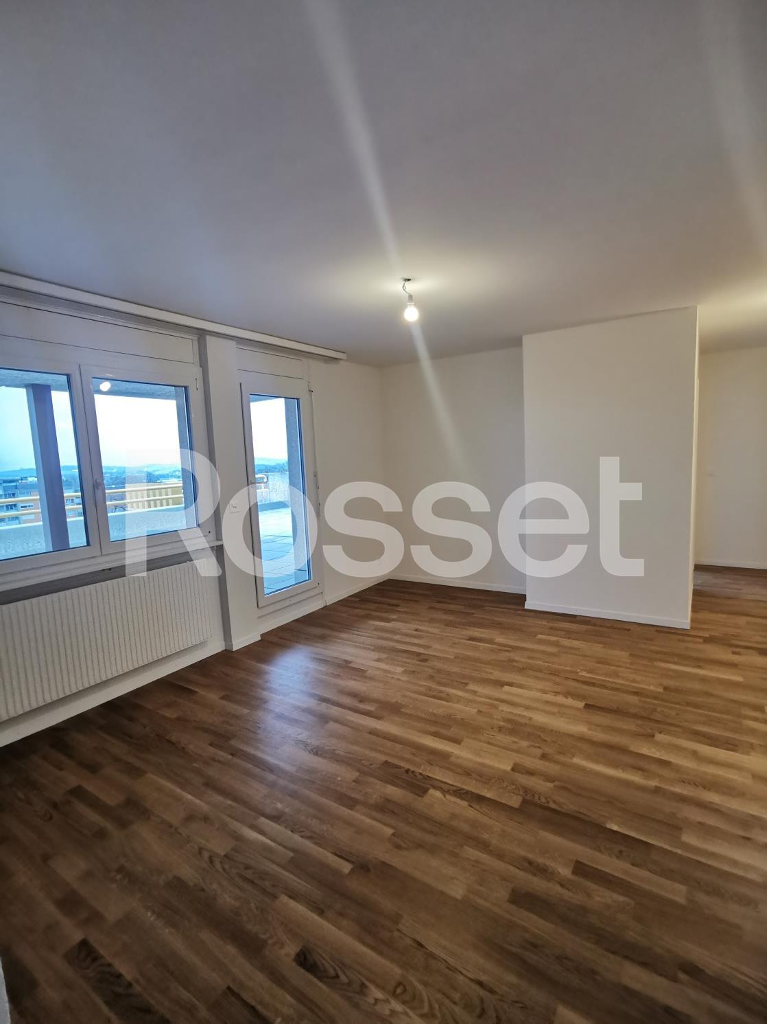 5 ½ Zimmer-Wohnung