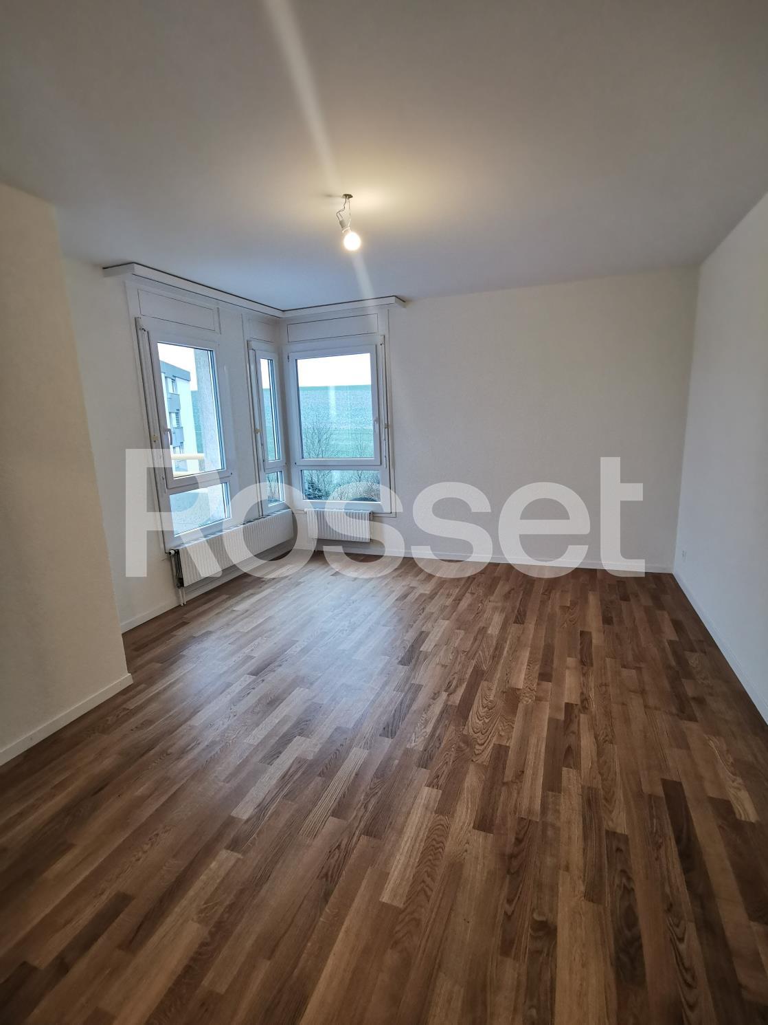 5 ½ Zimmer-Wohnung