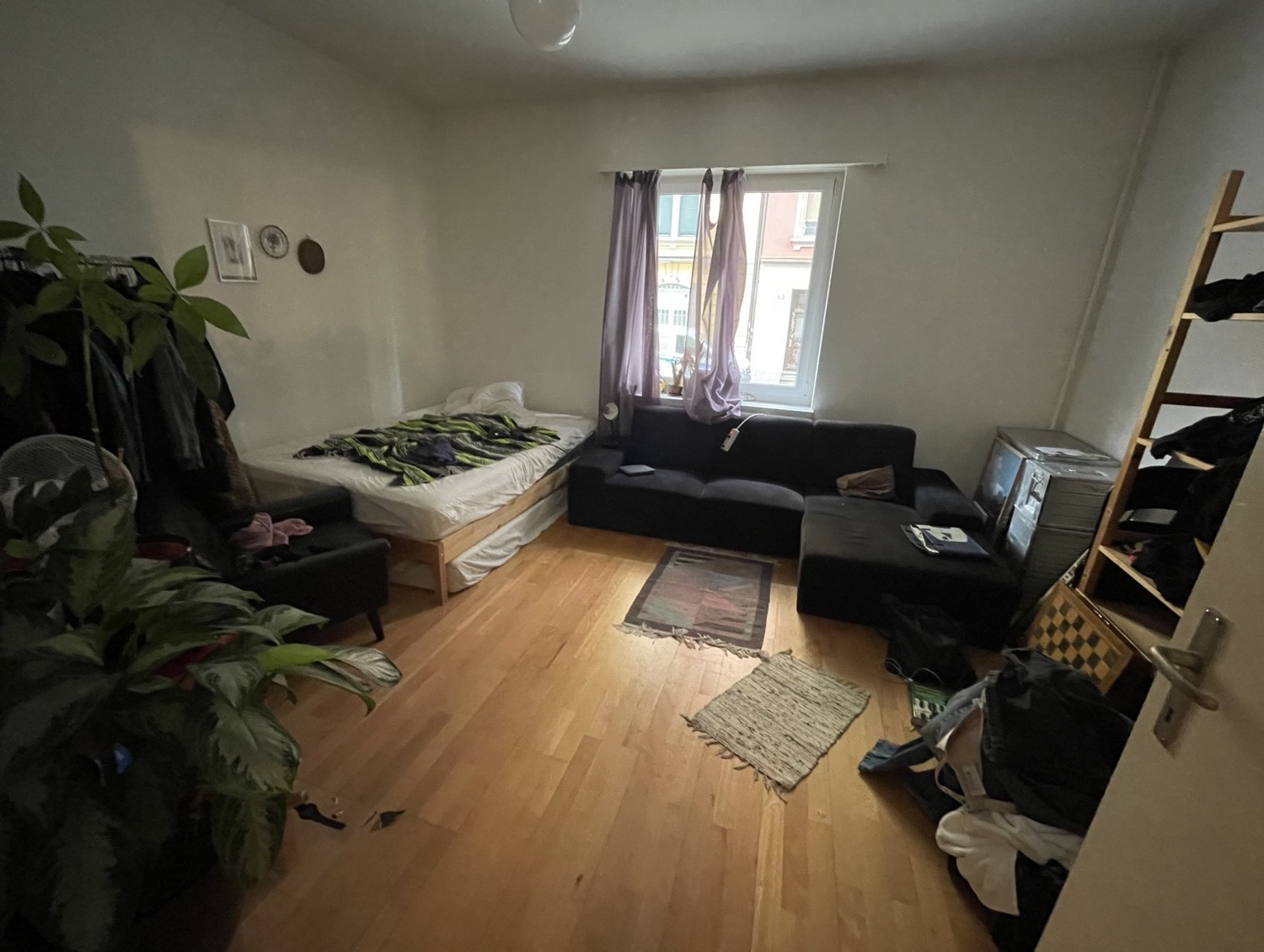 Room in a shared flat