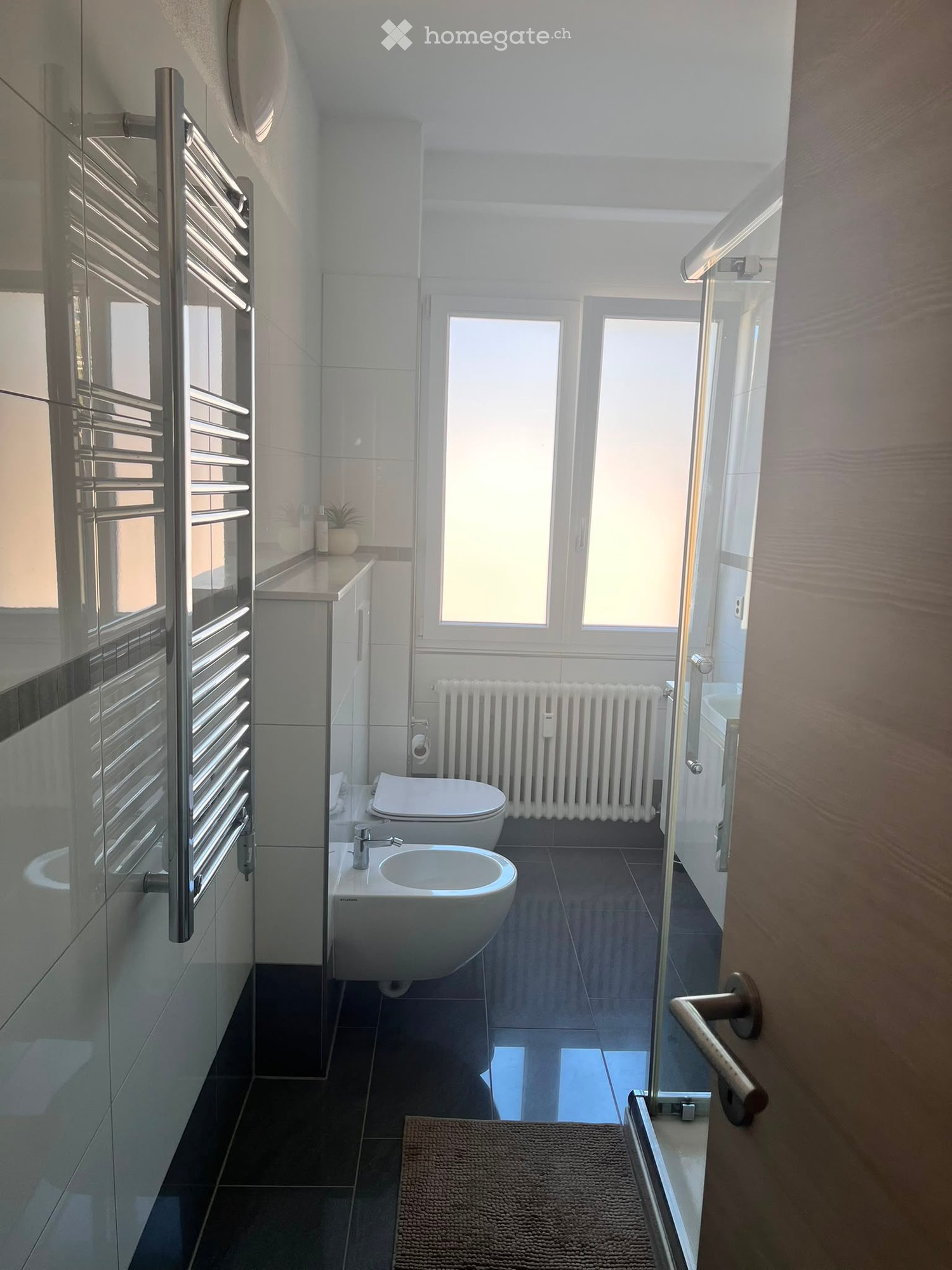 Appartement de 3 ½ pièces