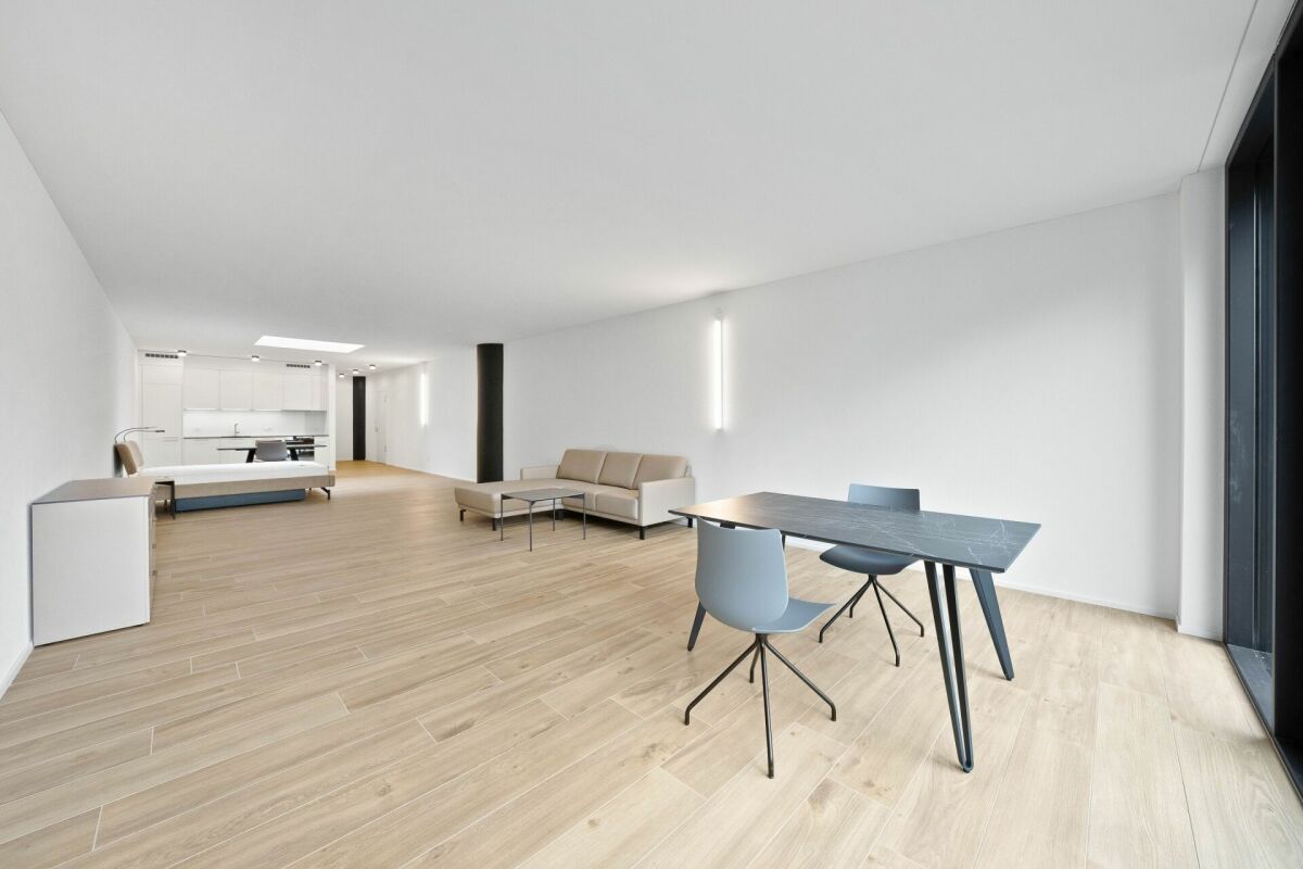 Appartamento arredato di 2 ½ locali, foto 2 di 7