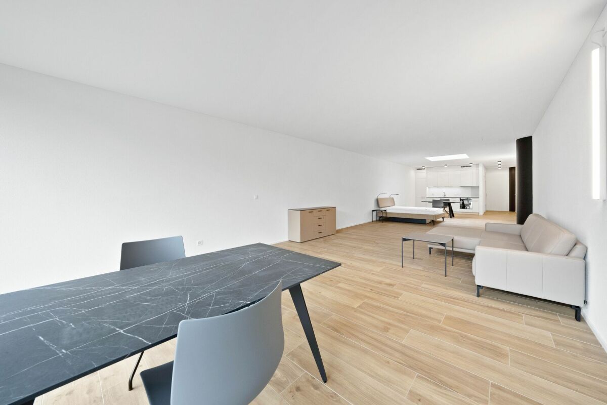 Appartamento arredato di 2 ½ locali, foto 1 di 7
