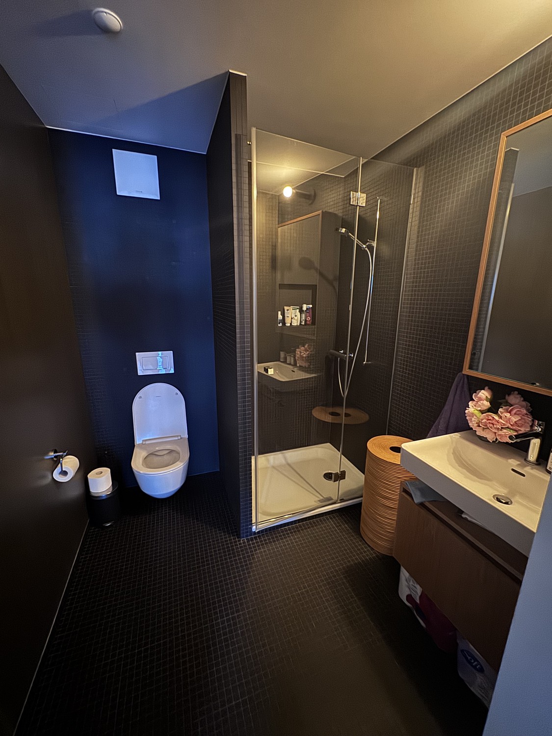 Appartamento di 3 ½ locali, foto 5 di 6