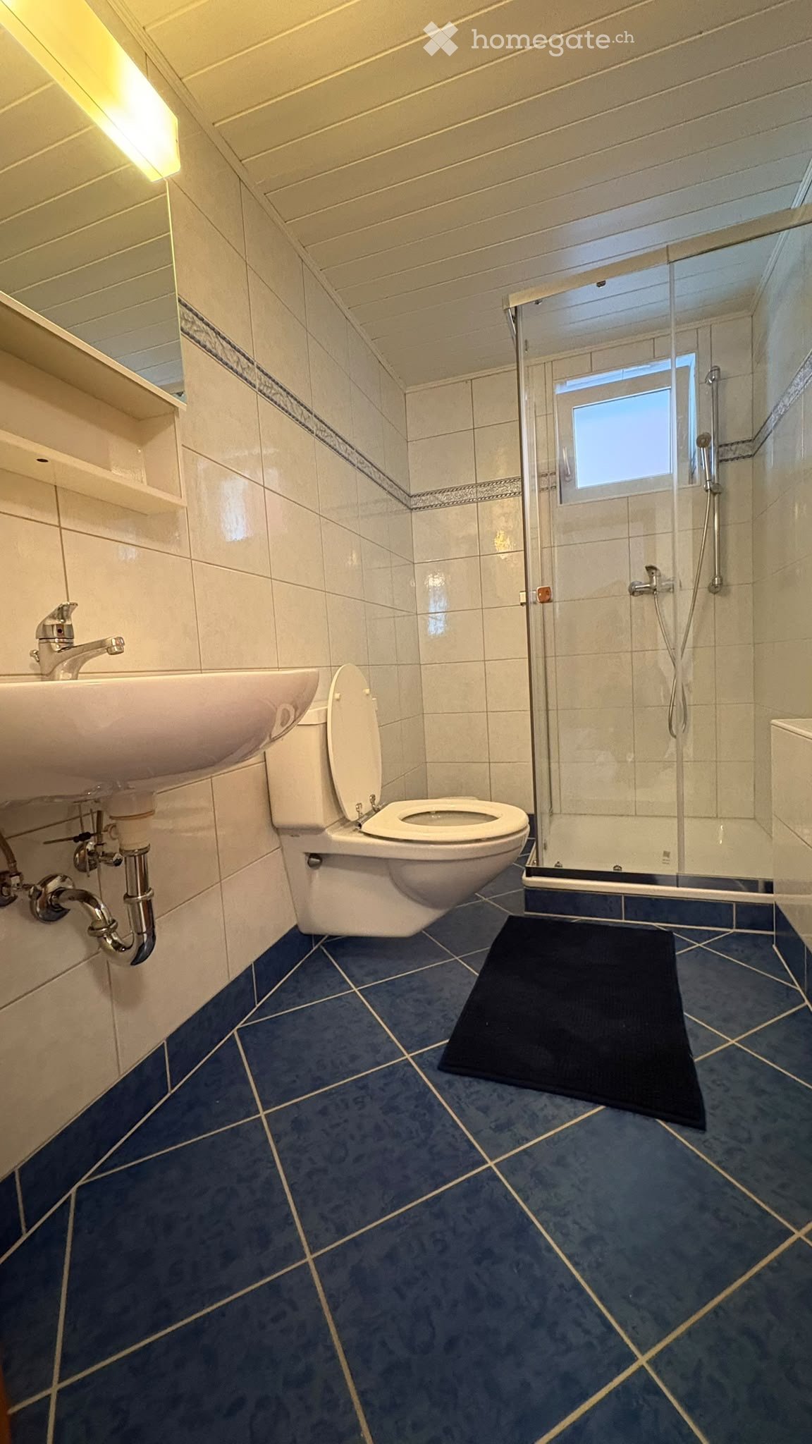 2 ½ Zimmer Wohnung