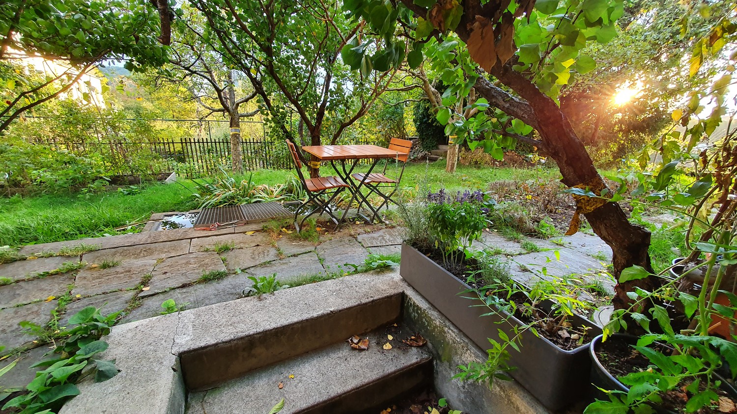 Appartement de 2 ½ pièces