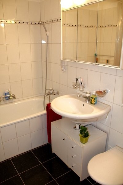 Appartement meublé de 3 ½ pièces