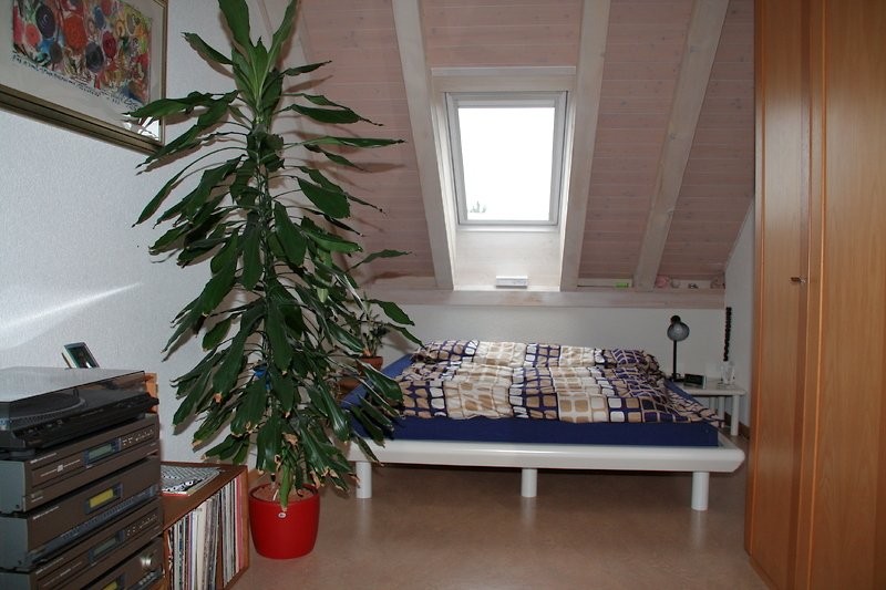 Appartement meublé de 3 ½ pièces
