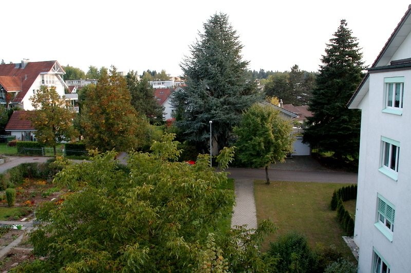 Appartement meublé de 3 ½ pièces