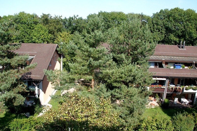 Appartement meublé de 3 ½ pièces