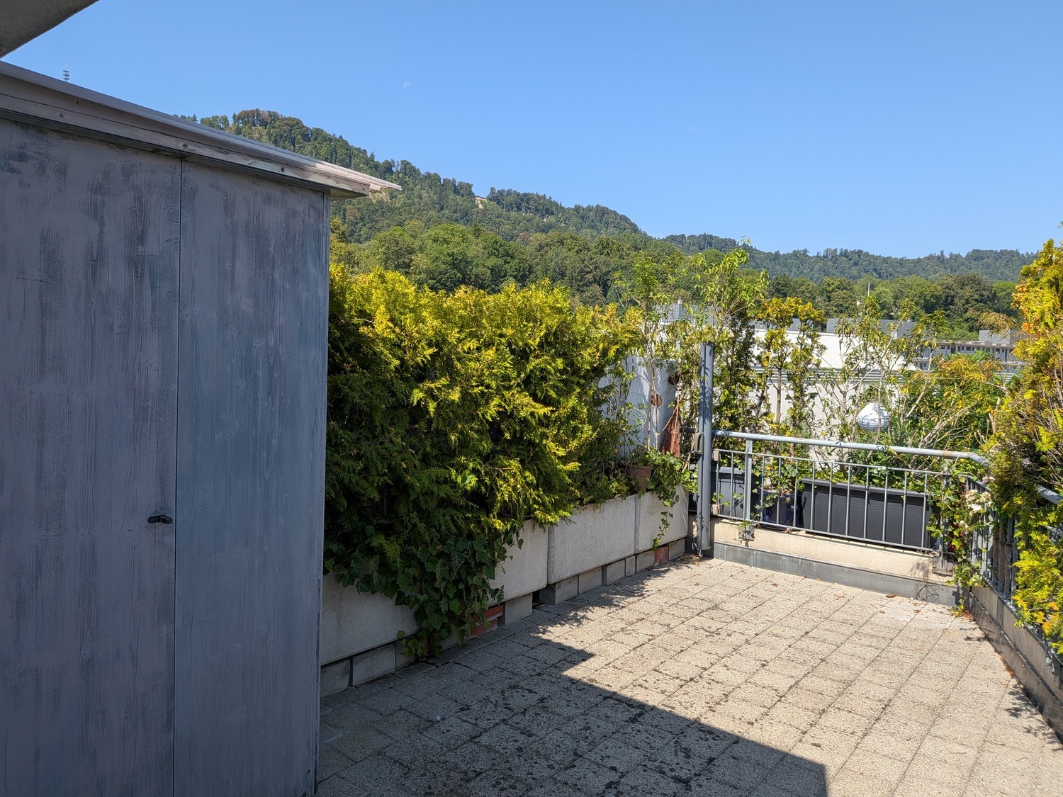 3 ½ Zimmer Wohnung
