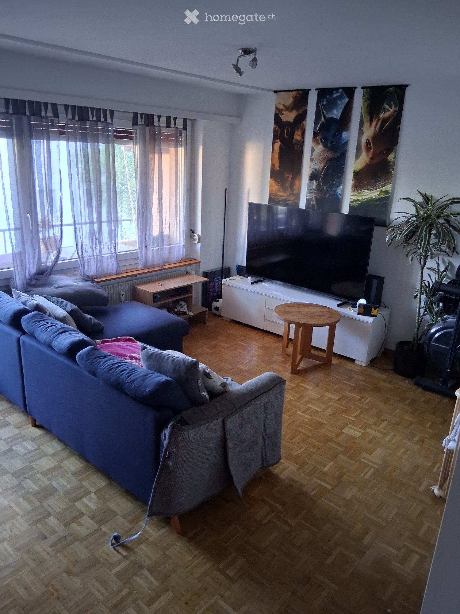 4 ½ rooms apartment