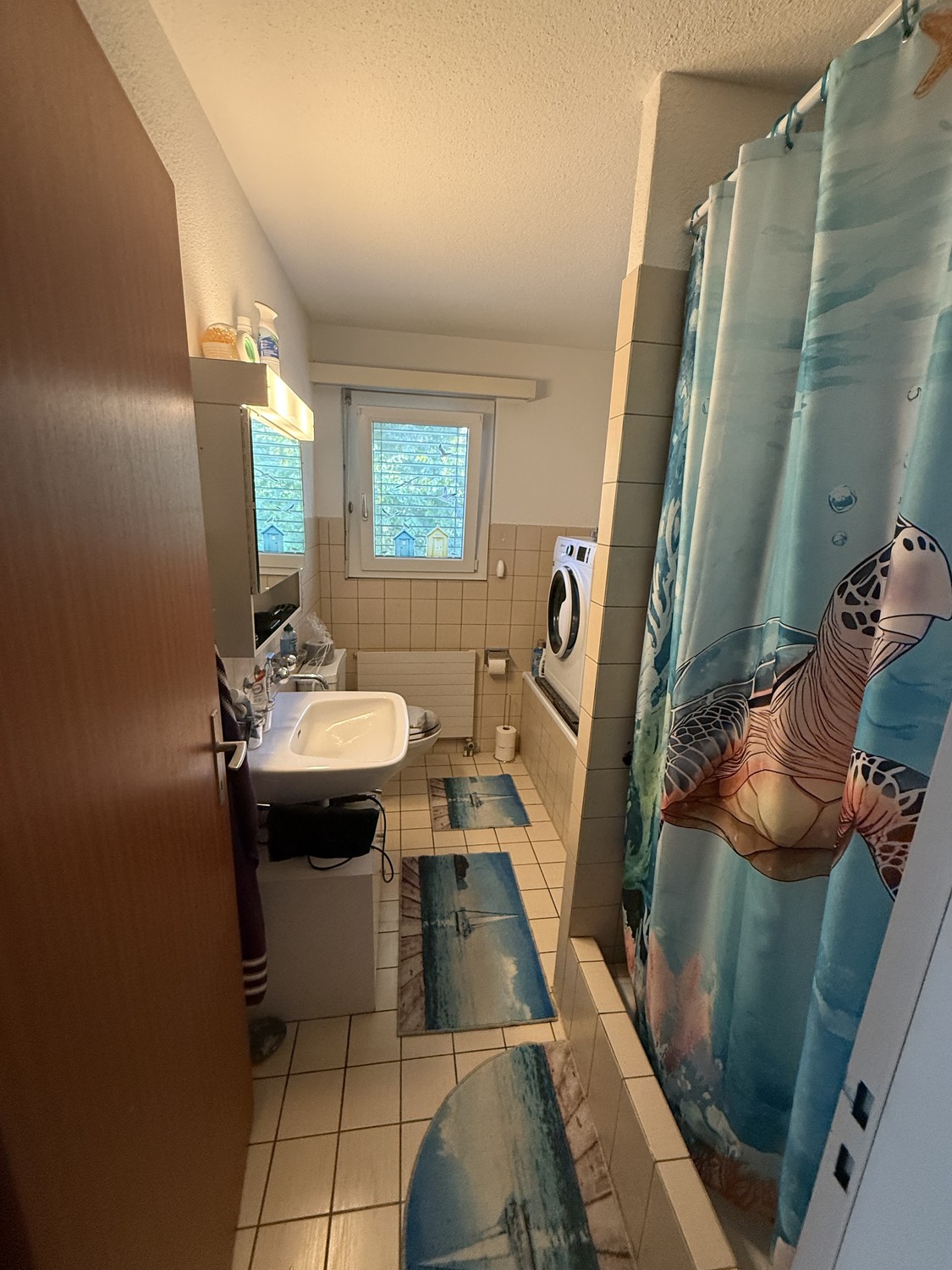 Appartamento di 3 ½ locali