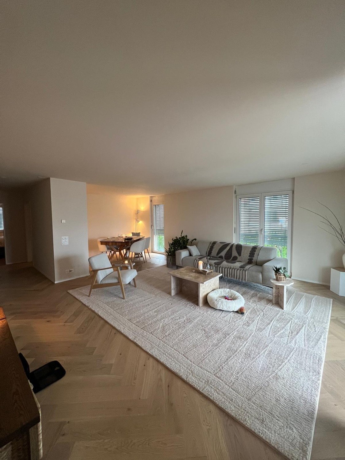 Appartamento di 2 ½ locali, foto 2 di 6