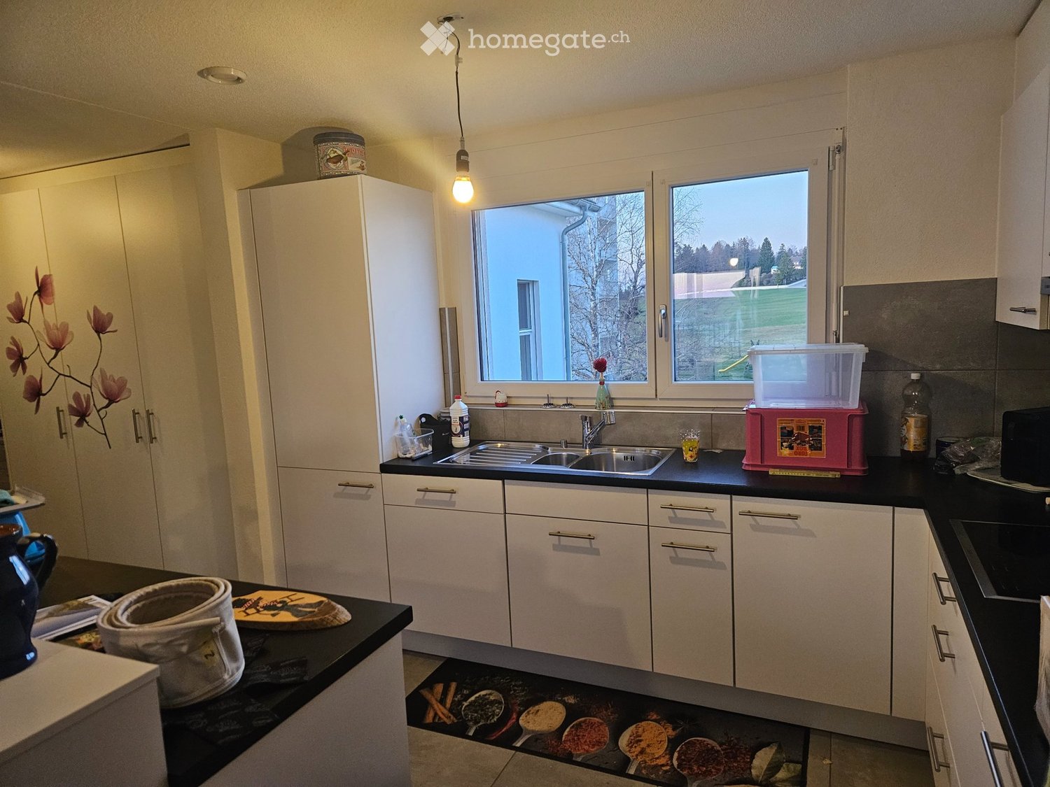 3 ½ Zimmer-Wohnung