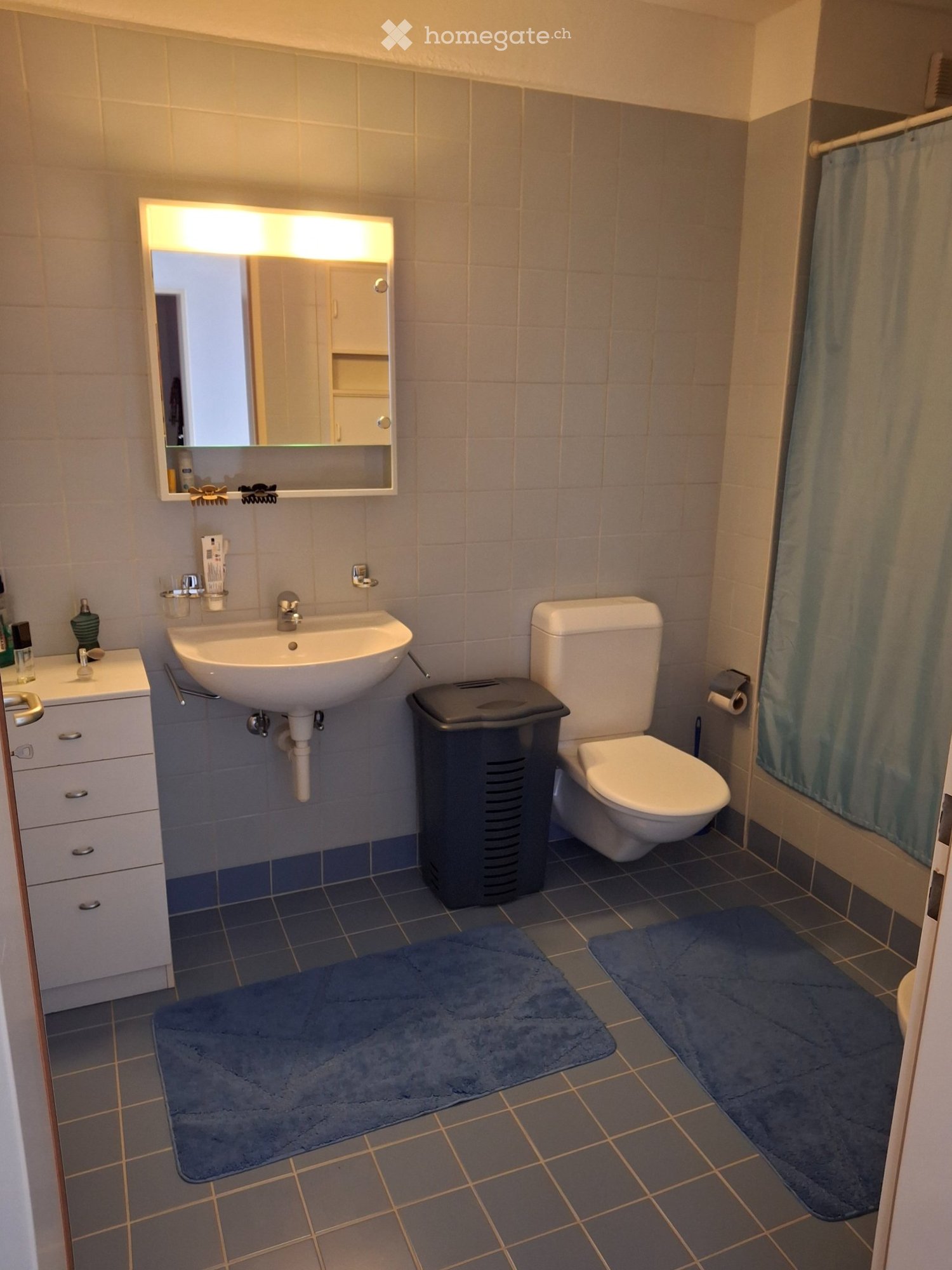 3 ½ Zimmer-Wohnung