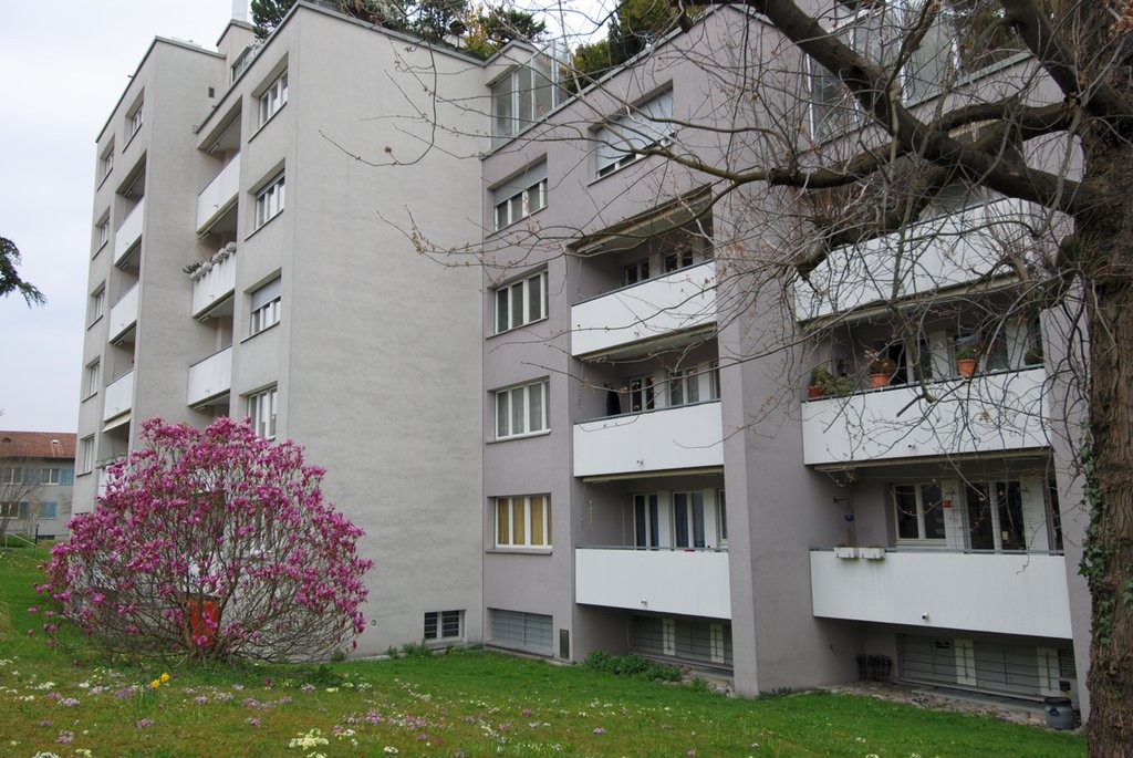 Appartamento di 2 ½ locali